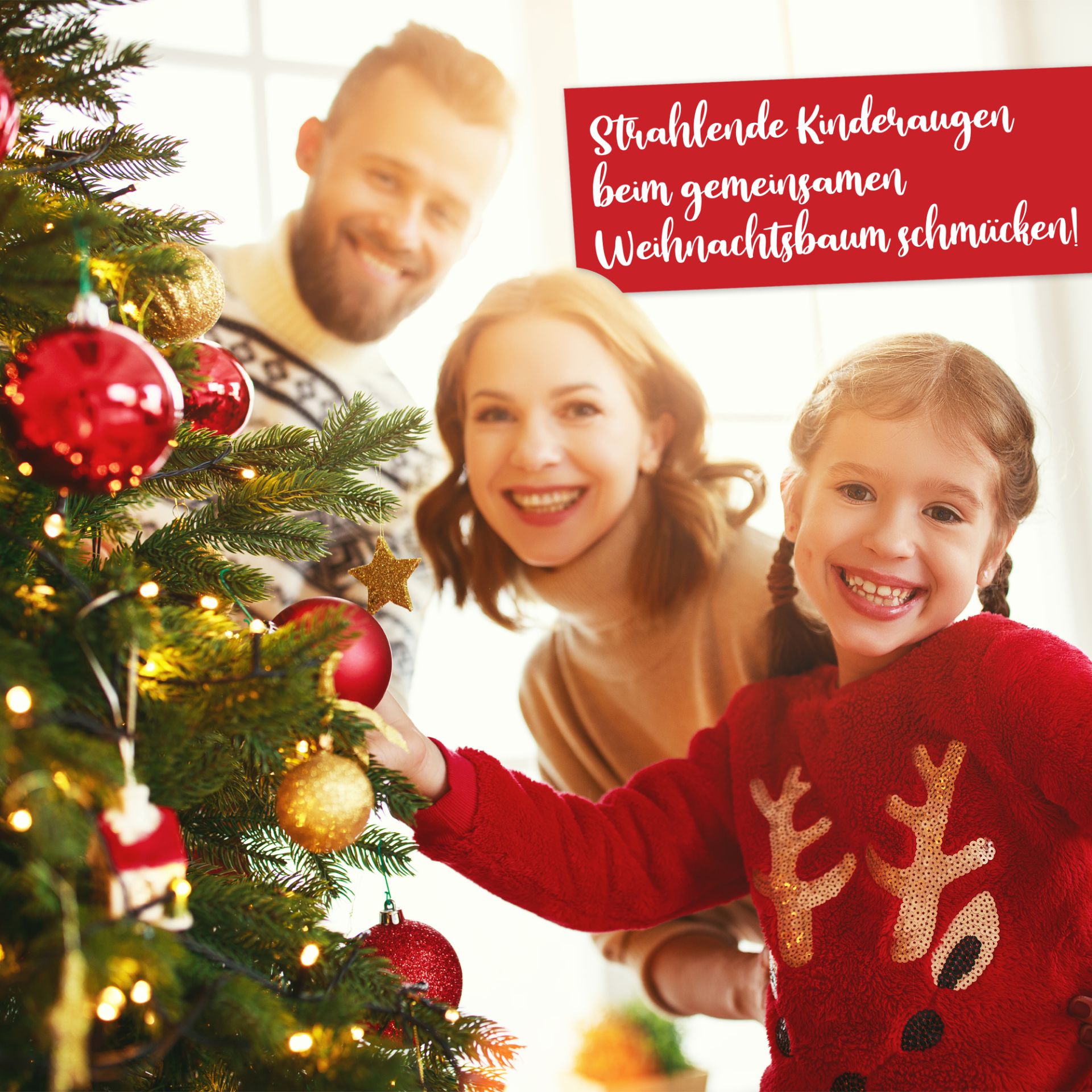 Weihnachtsbaum Winterland; Ideal für Familien
