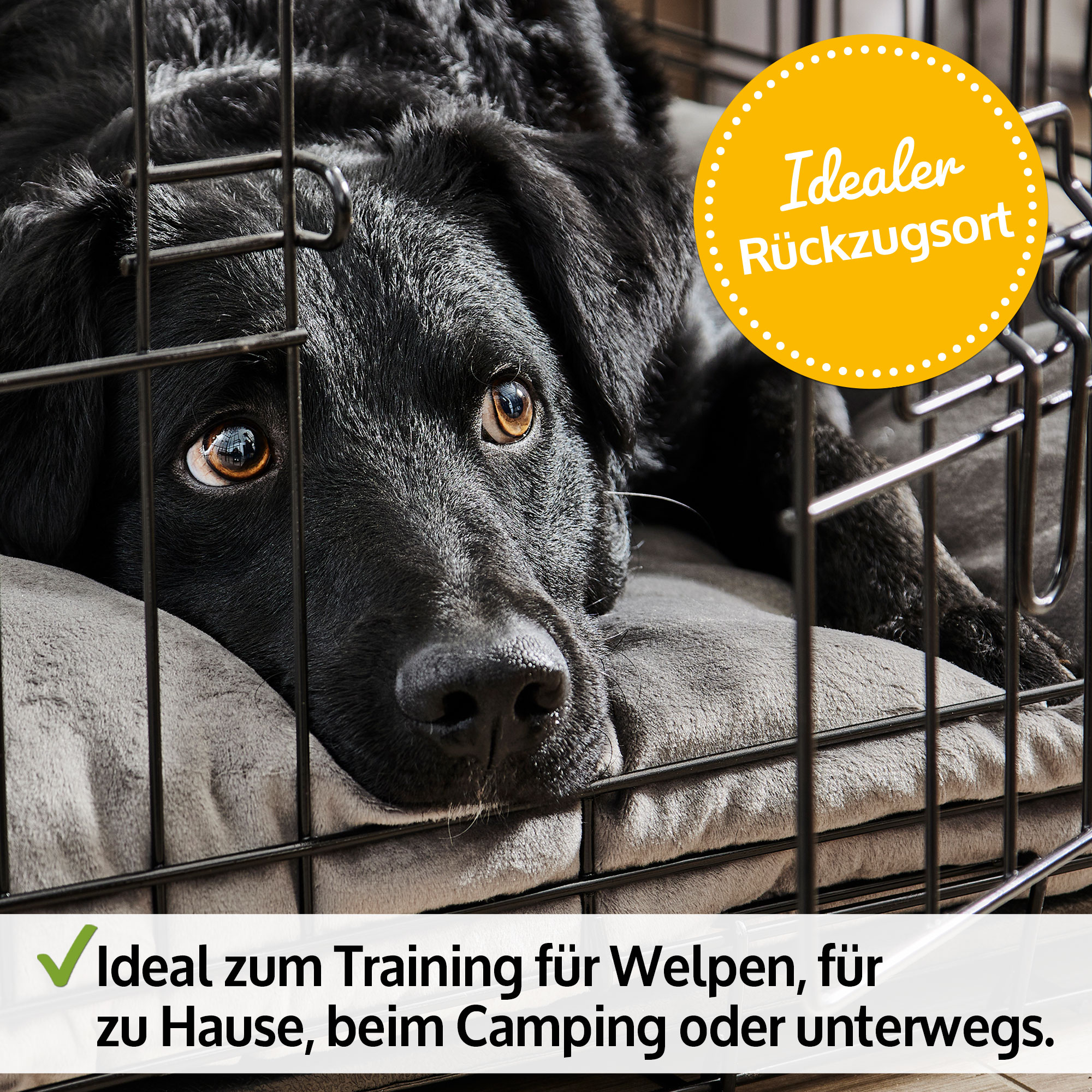 zooprinz Faltbox Hundekäfig XXL mit abgerundeten Ecken für Sicherheit