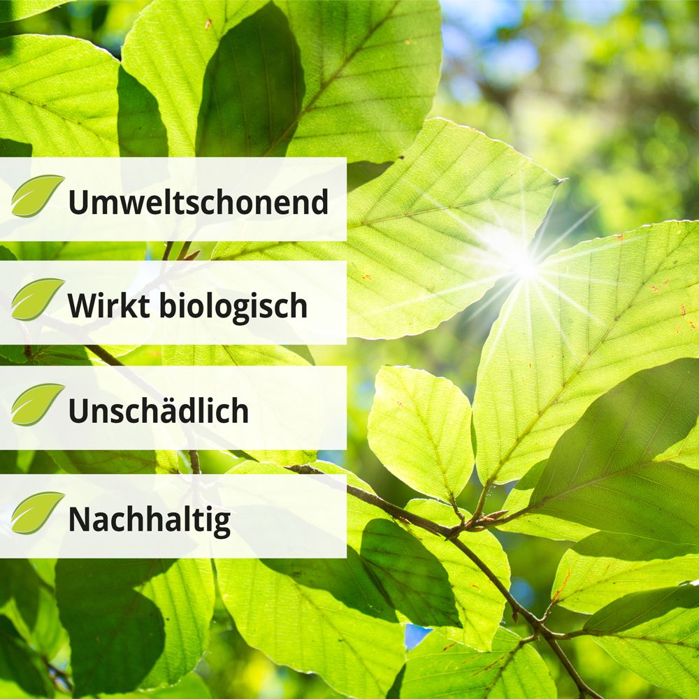 Geruchsvernichter & Sprühflasche; Umweltschonend; wirkt biologisch; unschädlich; nachhaltig