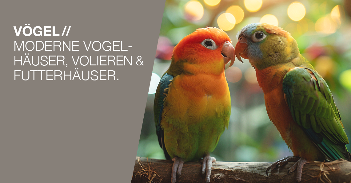 Vögel Tierausstattung