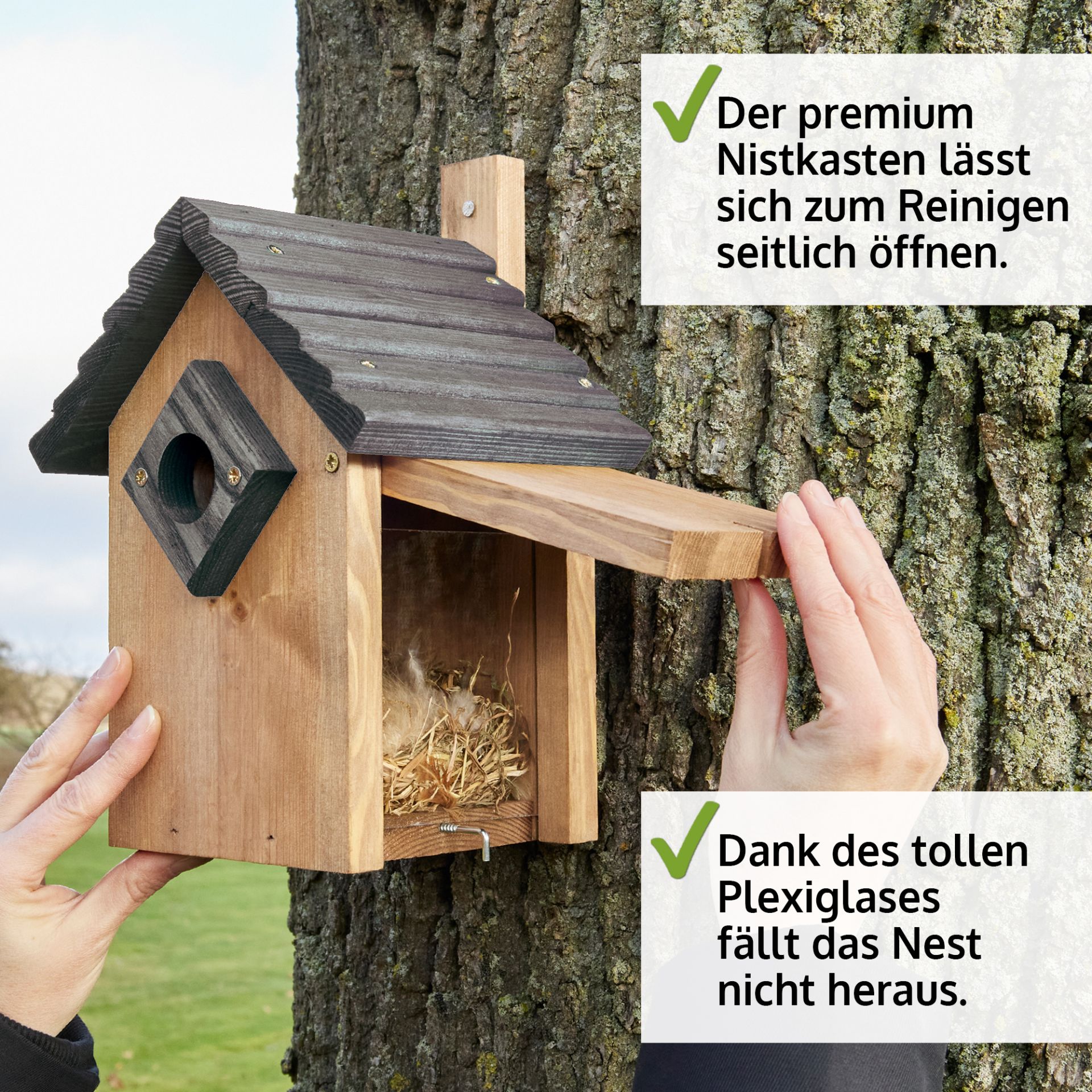 Nistkasten; lässt sich seitlich öffnen, dank Plexiglas wird das Nest nicht gestört