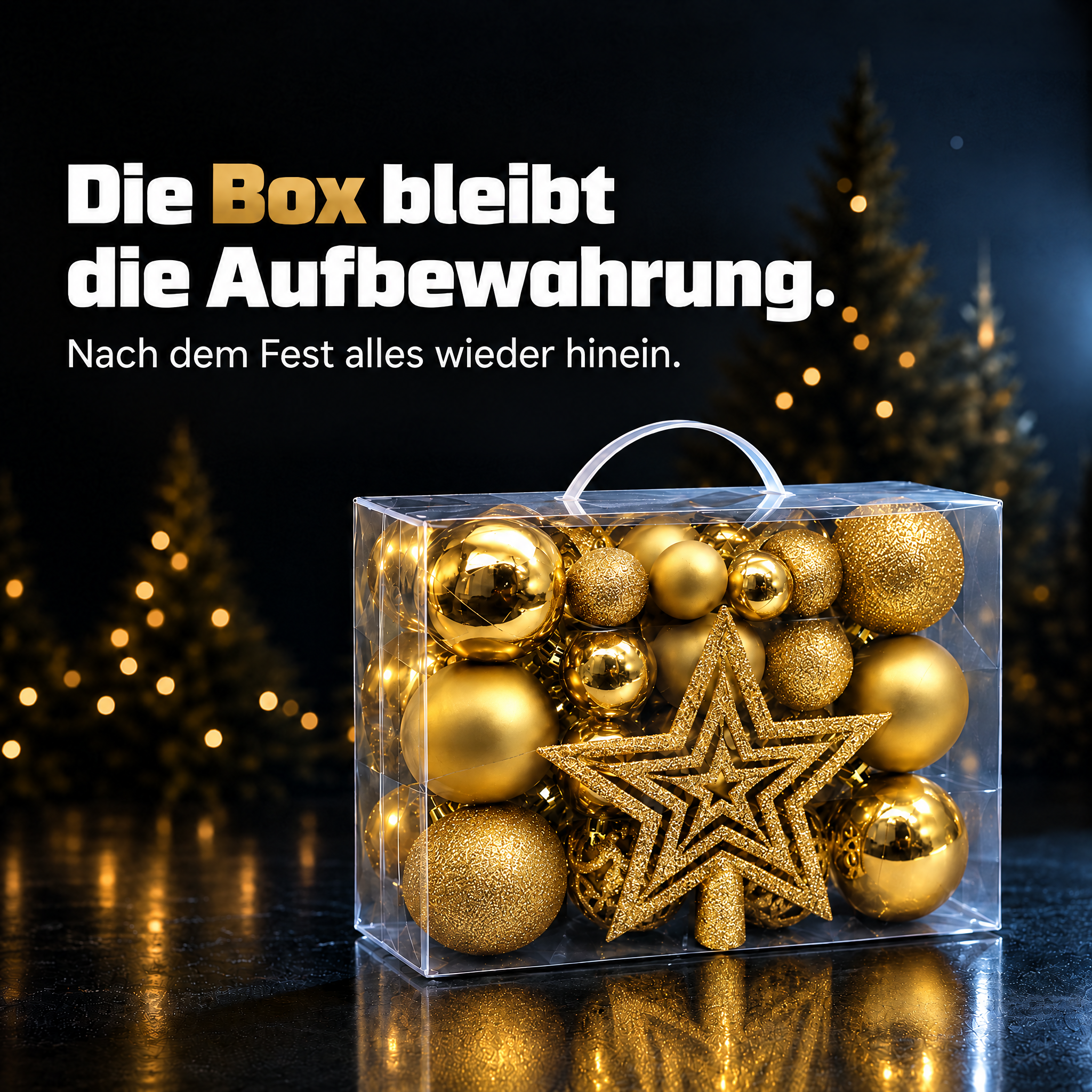 Kugel-Set Aufbewahrung: Praktische transparente Box mit Tragegriff. (Dieses Bild wurde mit Hilfe von KI generiert.)