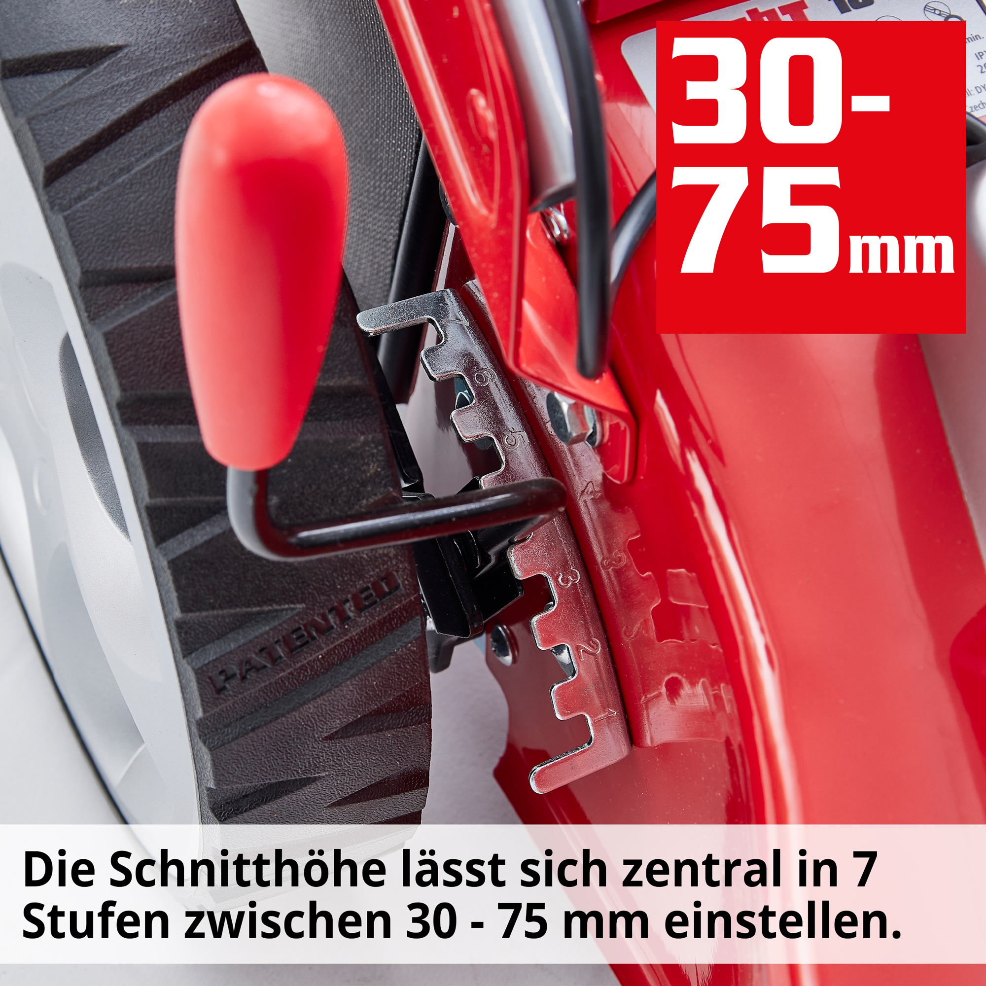 685-galeriebild_4