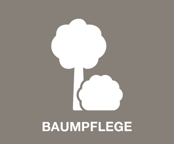 Gartenpflege Baumpflege