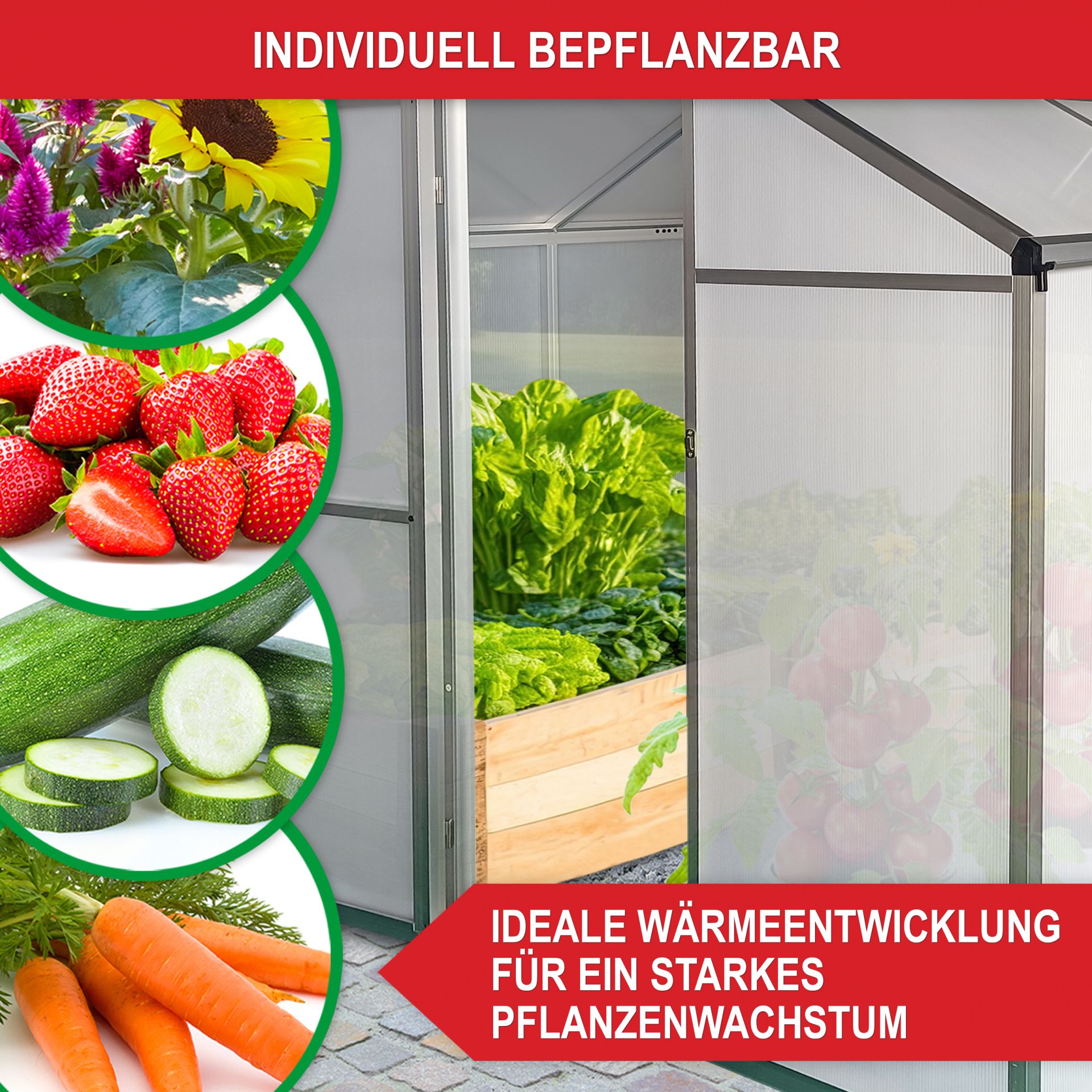 Gewächshaus Aluminium M - individuell Bepflanzbar, ideale Wärmeentwicklung für starkes Pflanzenwachstum