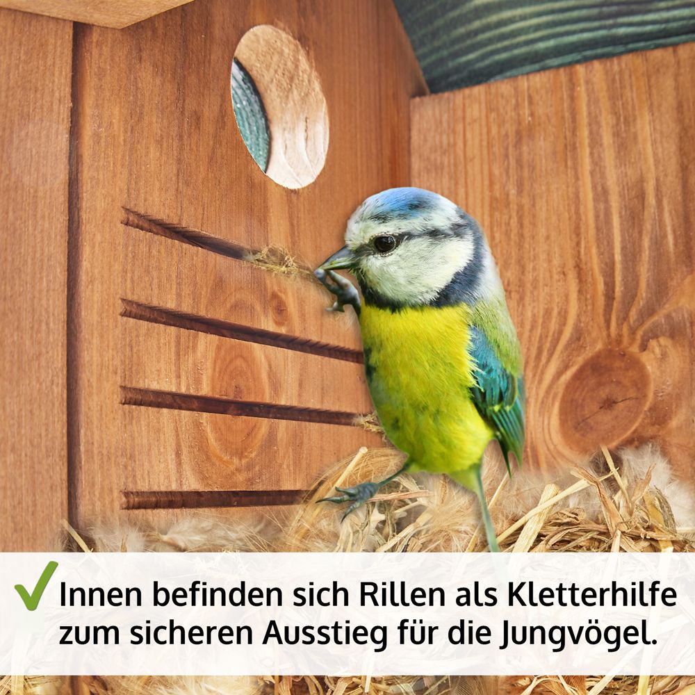 Nistkasten; Rillen von innen als Kletterhilfe