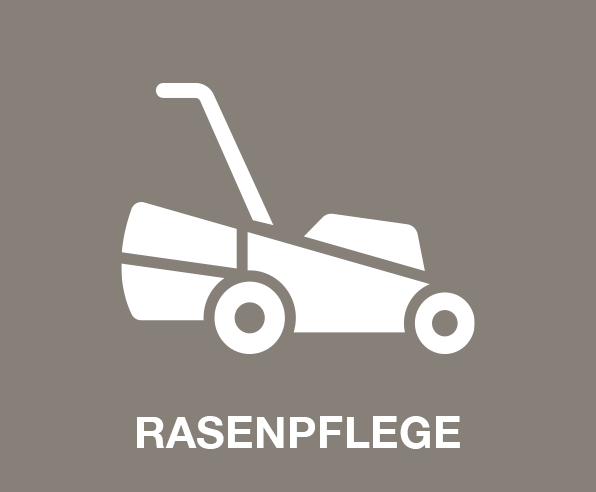 Rasenpflege