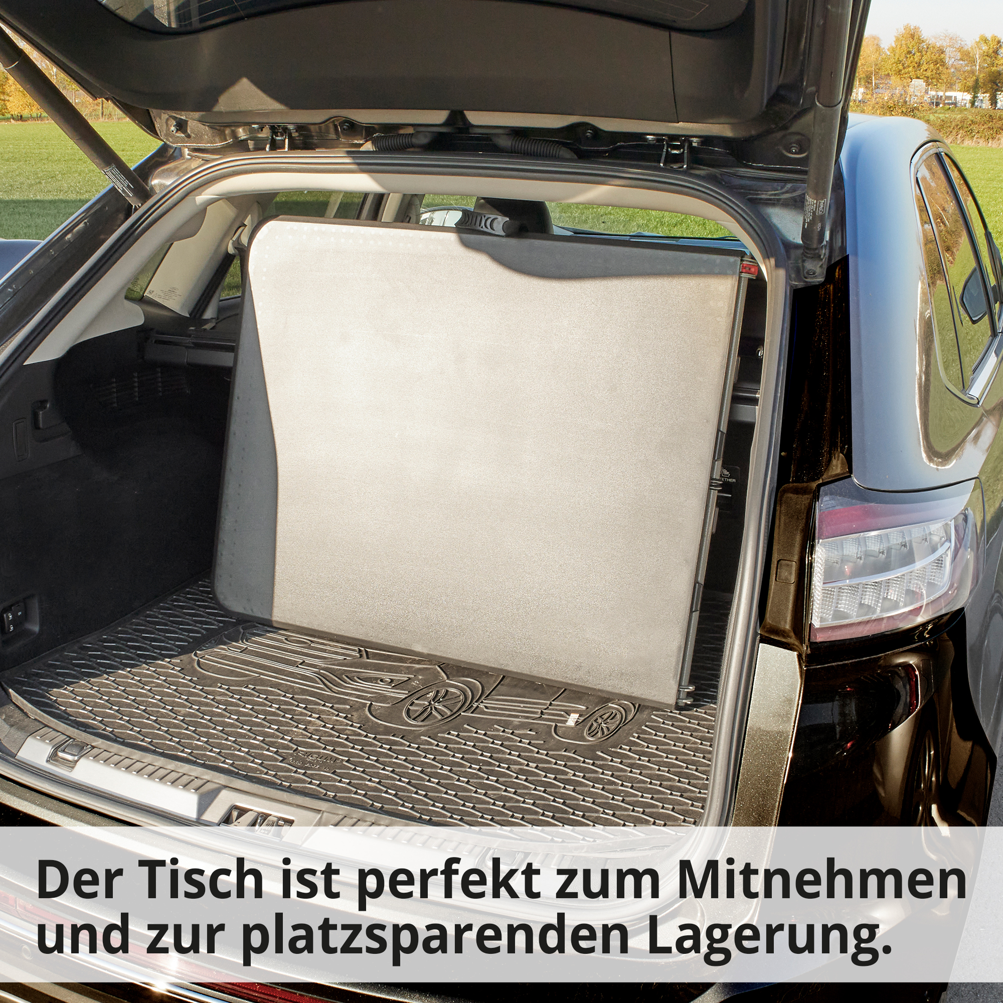 Hecht Foldis Klapptisch; Perfekt zum Mitnehmen und zur platzsparenden Lagerung