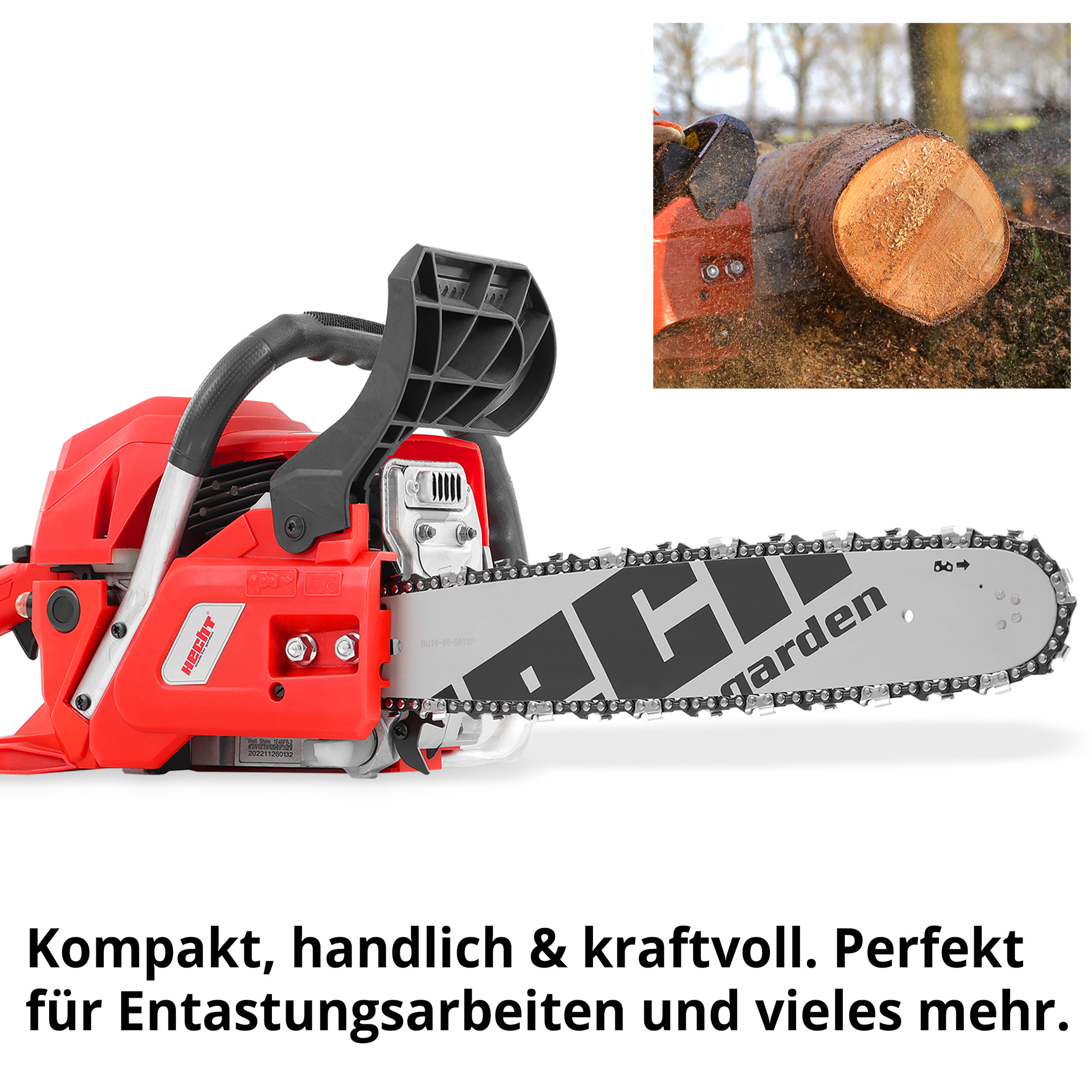 43247-galeriebild_1