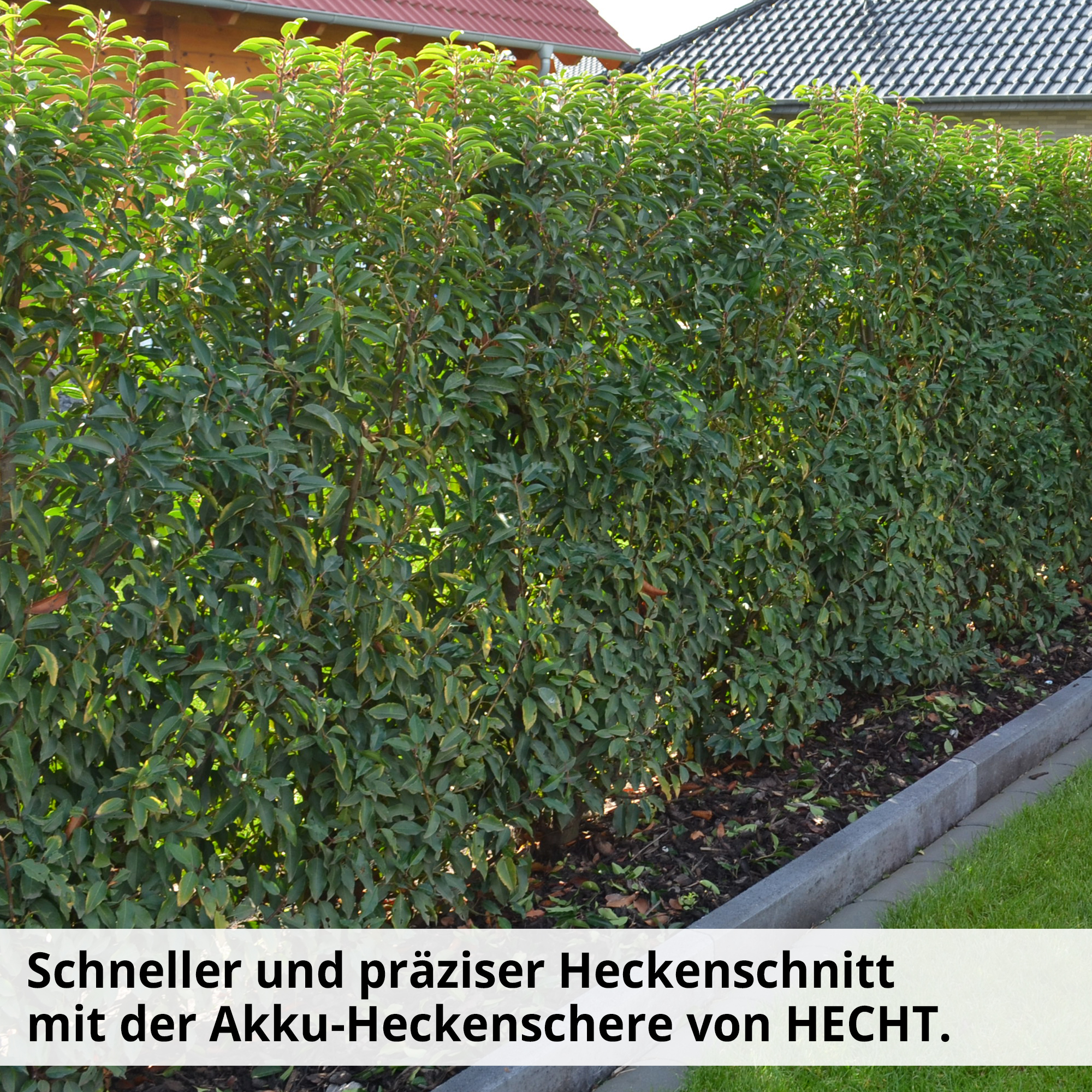 1131-galeriebild_10