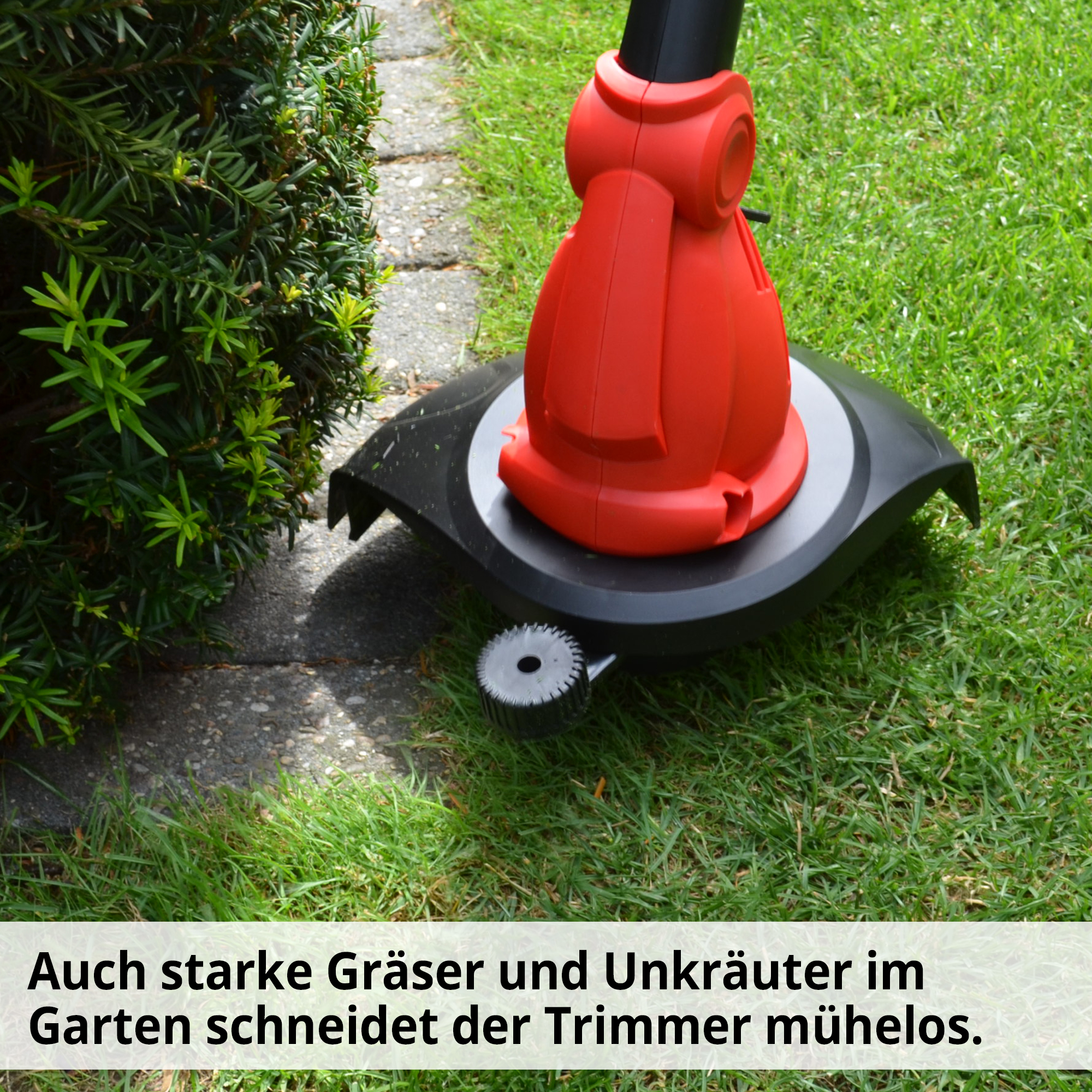 1308-galeriebild_10