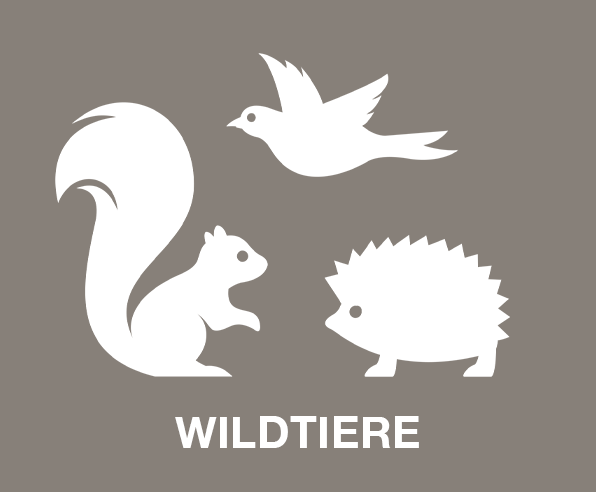 Wildtiere Tierausstattung