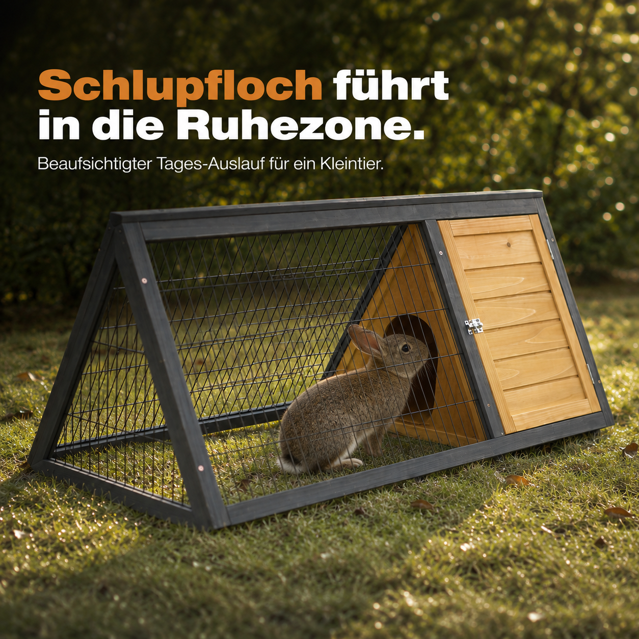 Kaninchenstall mit offenem Auslauf auf Rasen und Ruhezone mit Holzboden