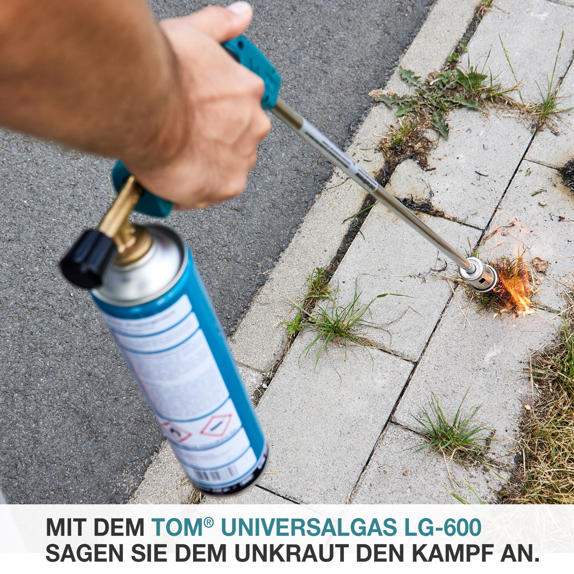 TOM LG-600 Gaskartusche für Gasbrenner gegen Unkraut
