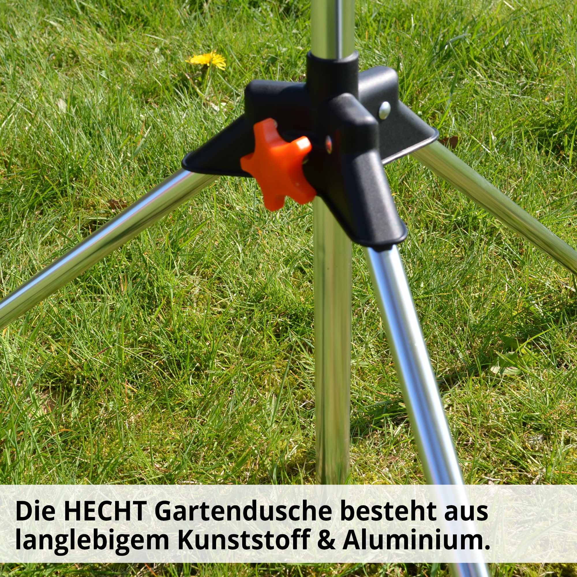 2466-galeriebild_7 2466-galeriebild_7