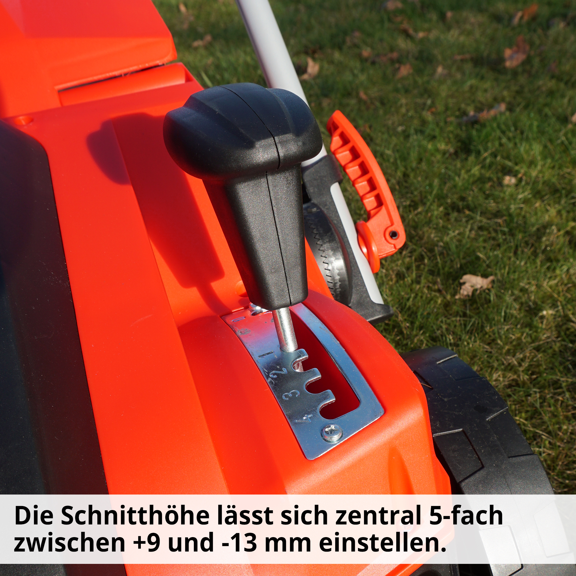 HECHT Elektro Vertikutierer »1848« Vertikutierer mit verstellbarer Schnitthöhe