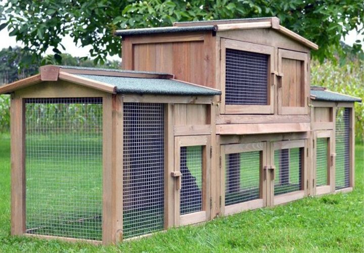 Hasenstall 011 - Dr. Hase; wetterbeständig