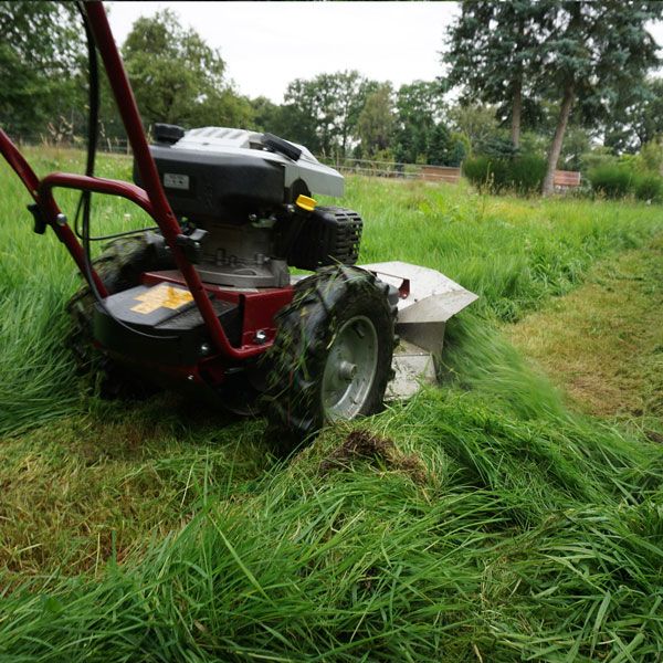 Hecht Kreismäher 5060 mit großen Hinterrädern für idealen Grip im Unebenen Gelände  Hecht Kreismäher 5060 mit großen Hinterrädern für idealen Grip im Unebenen Gelände