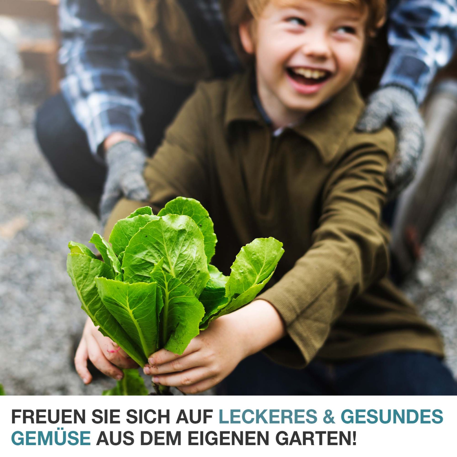 TOM Gewächshaus GH-72; Gemüse aus dem eigenen Garten TOM Gewächshaus GH-72; Gemüse aus dem eigenen Garten