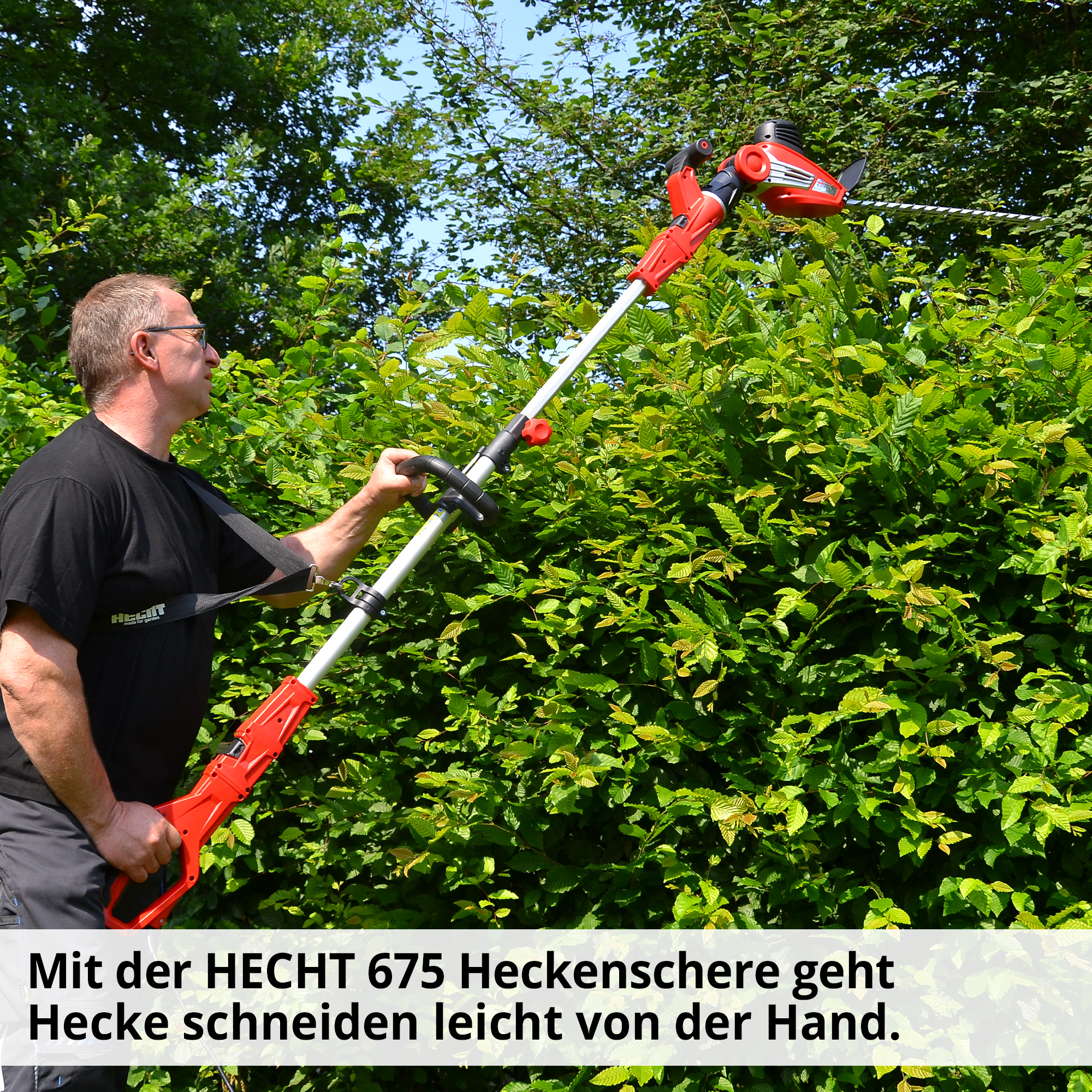 Hecht Elektro-Gartenschere ist Heckeschneiden wieder bequem 
