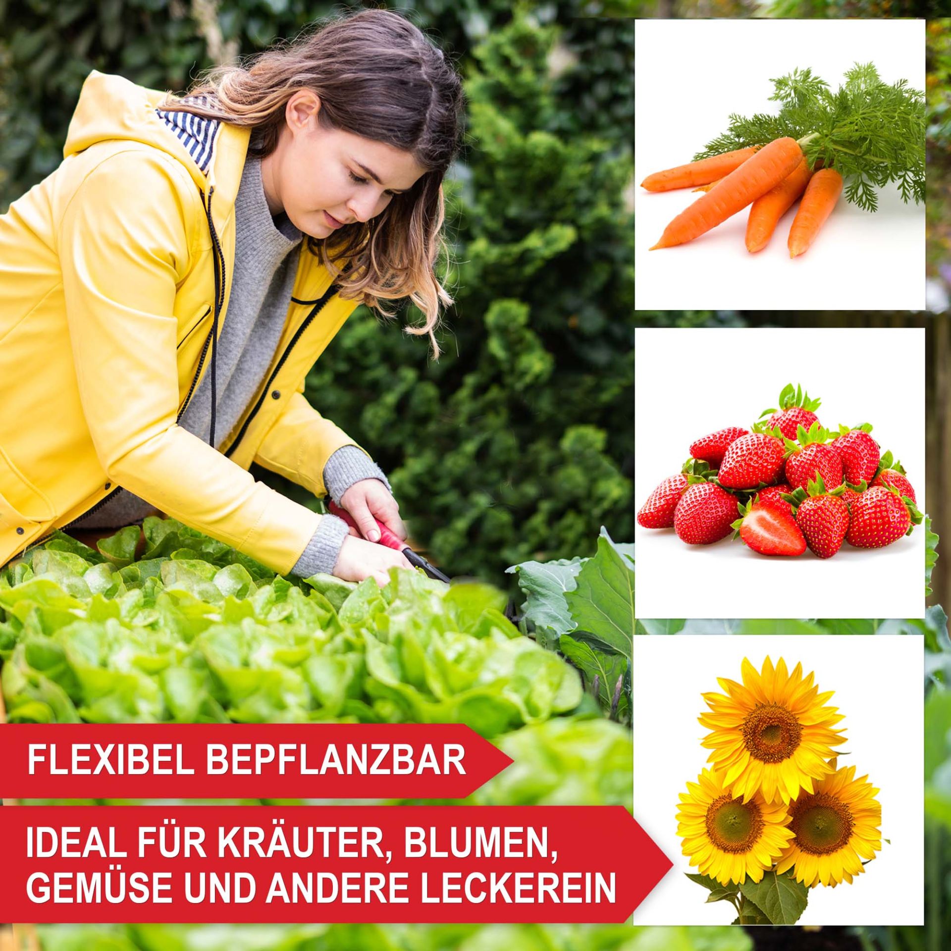 Hochbeet Summer - Flexibel bepflanzbar, ideal für Kräuter, Blumen, Gemüse und weiteres