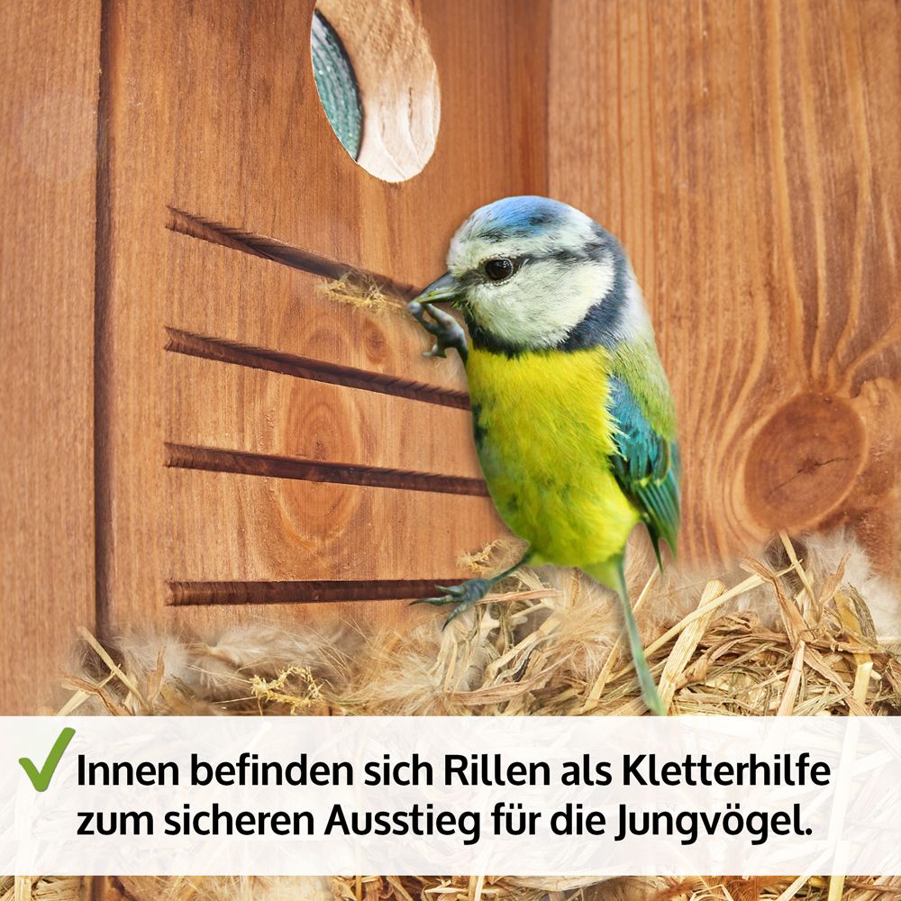 Nistkasten; Details wie der Räuberschutz