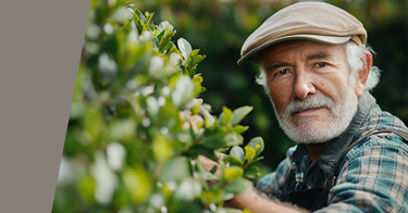 Baum- & Strauchpflege