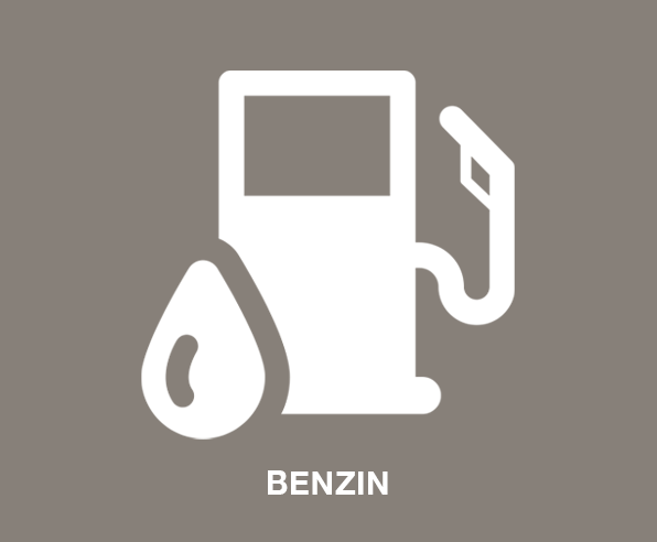 Benzin Freischneider