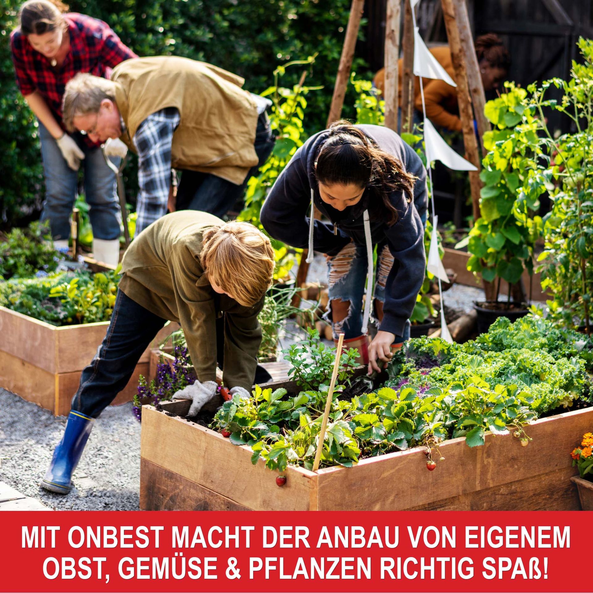 Beetrahmen - Der Anbau von Obst, Gemüse und Pflanzen mach Spaß