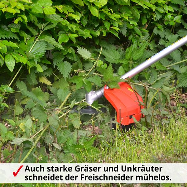 HECHT Benzin-Freischneider 145 Benzin-Freischneider mur Gräser und Unkräuter