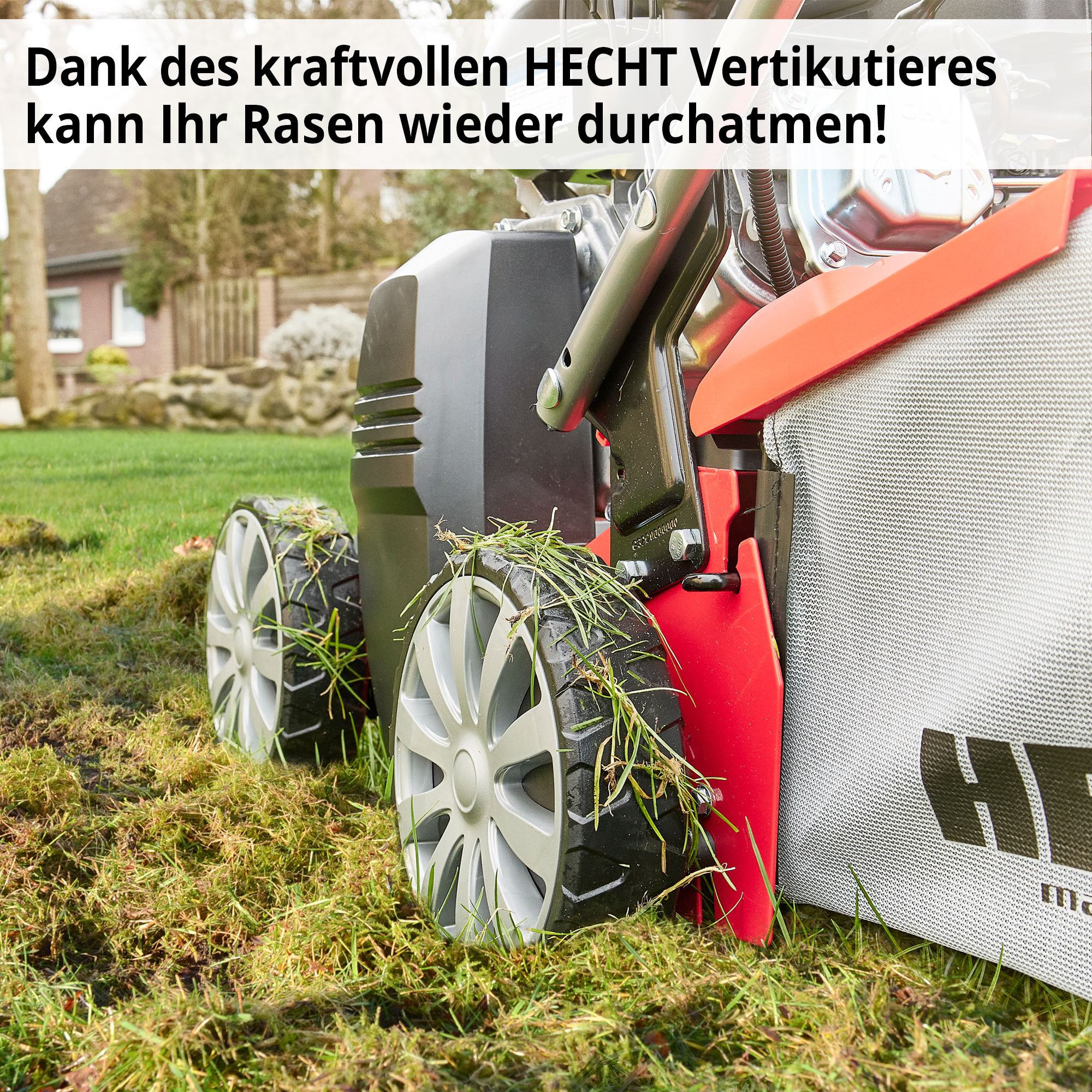Hecht Vertikutierer für gesundne Rasen 