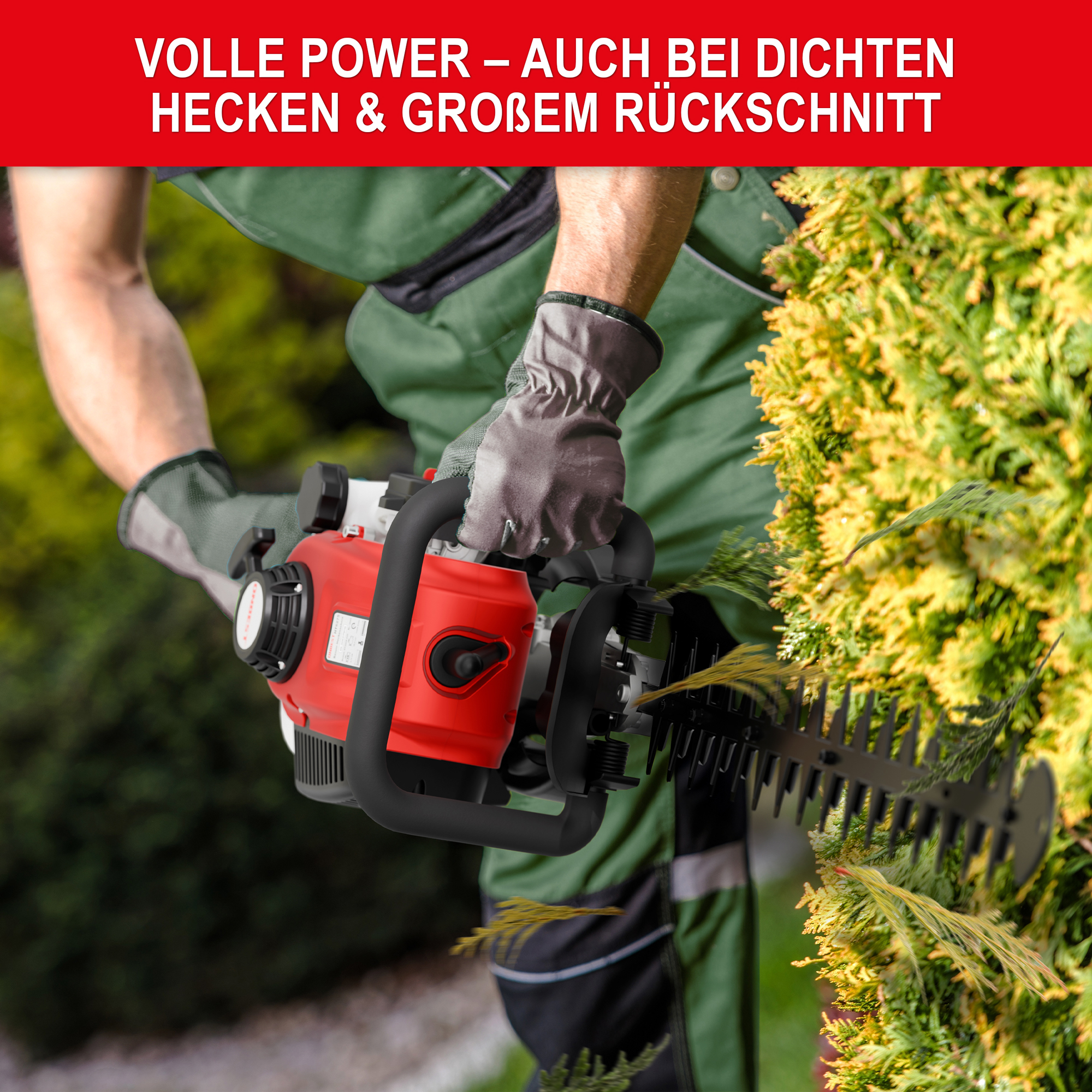 ONBEST HT6275 Benzin-Heckenschere mit langem 680 mm Schwert im Einsatz