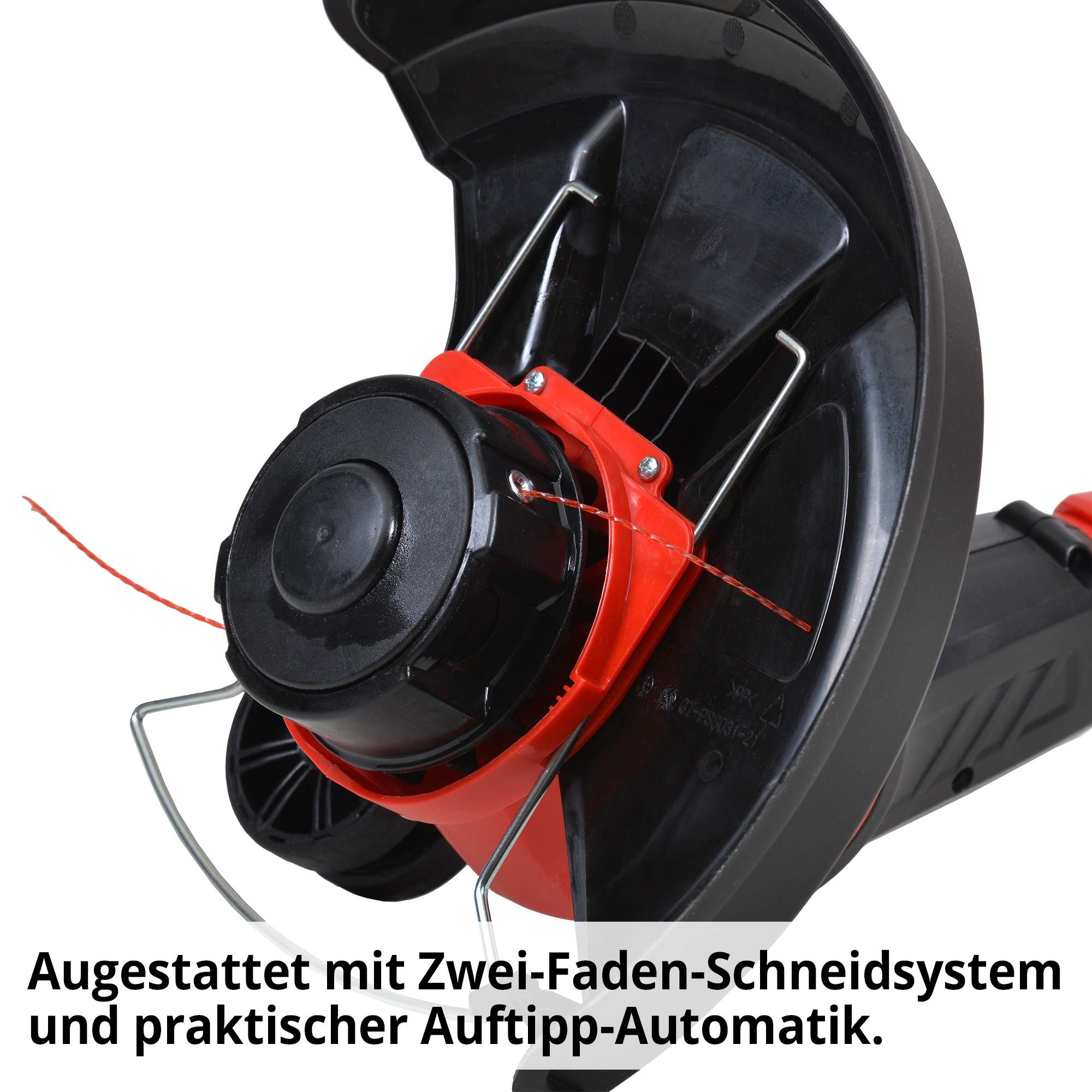 1133-galeriebild_3