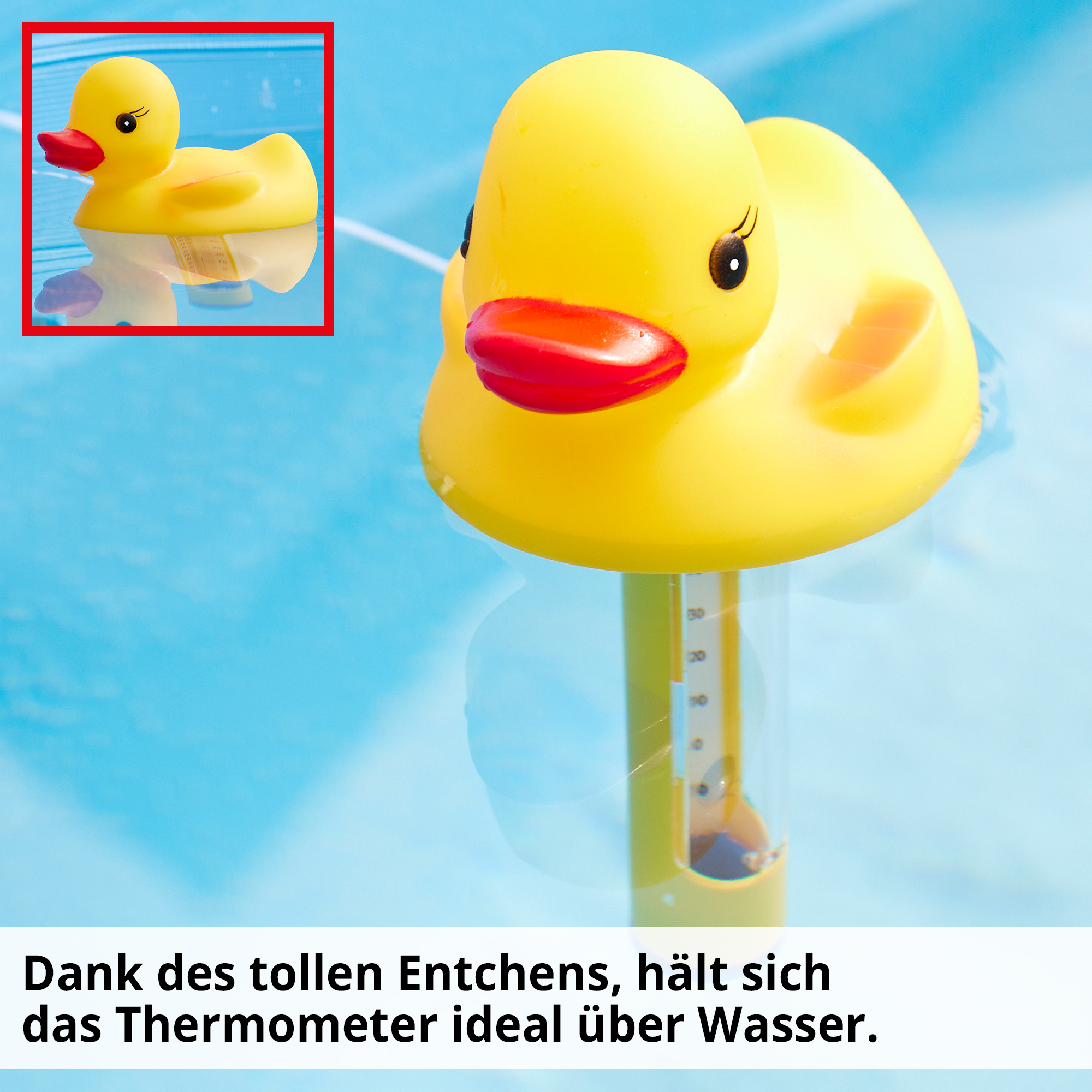 Hecht 060512 Wasser Thermometer Ente; Dank tollen Entchens, hält sich das Thermometer ideal über Wasser
