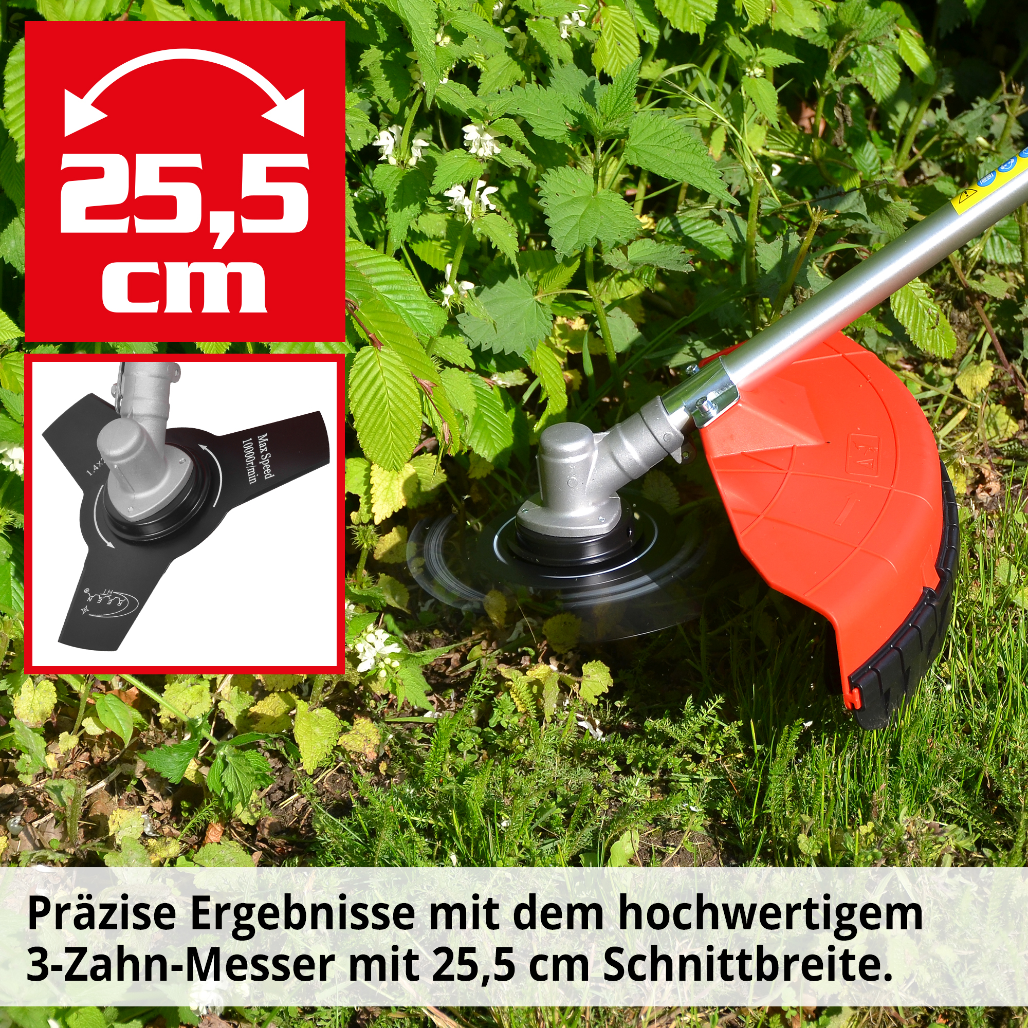 1271-galeriebild_3
