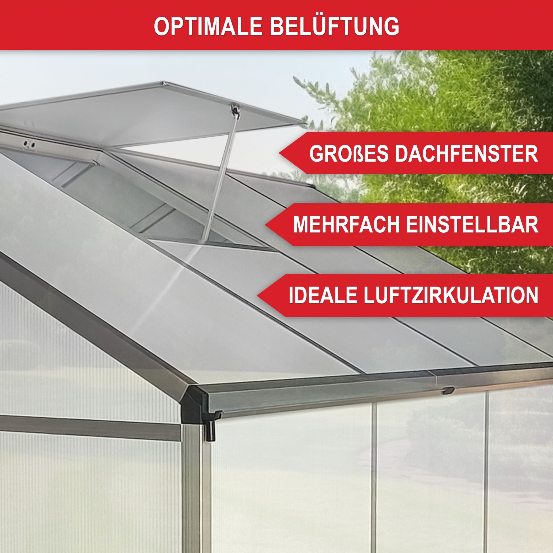 Gewächshaus Aluminium M - Großes Dachfenster, mehrfach einstellbar, ideale Luftzirkulation