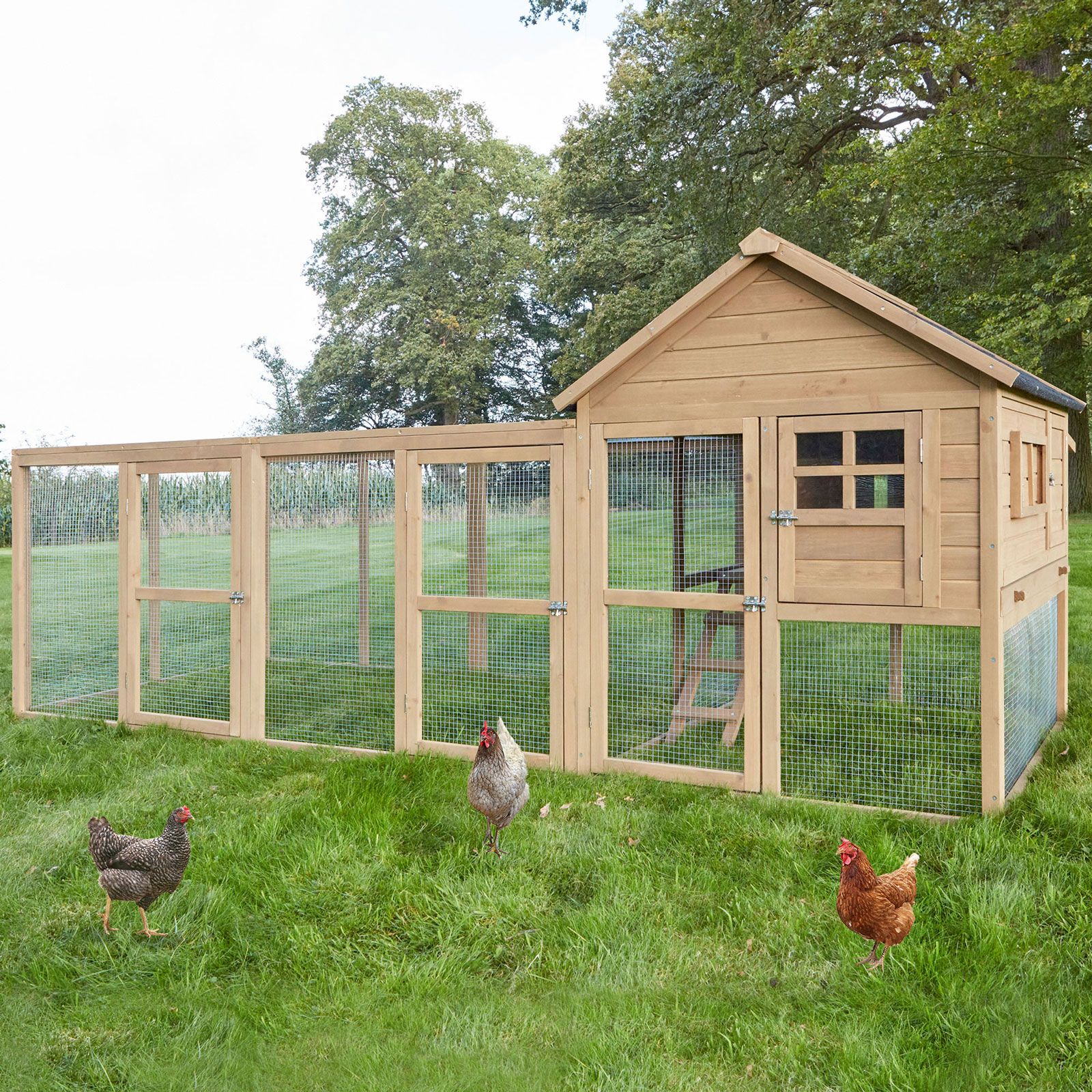 Hühnervoliere Happy Huhn Set; Auslauf-Bereich unter und neben dem Haupthaus (Dieses Bild wurde mit Hilfe von KI generiert.)