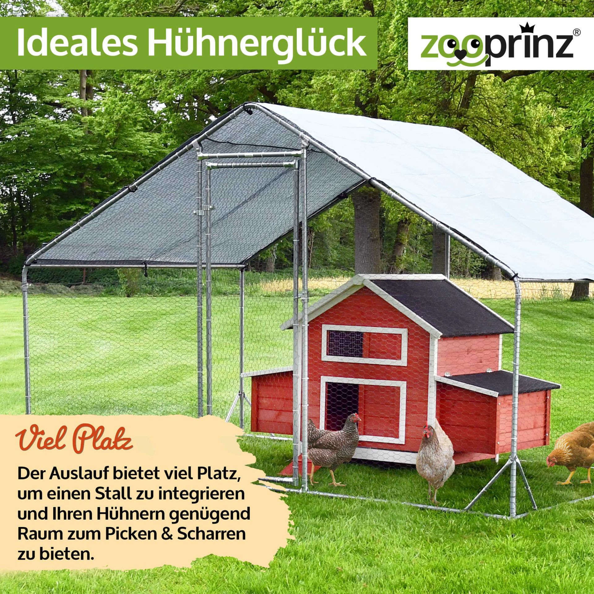 Hühnervoliere Steel; Viel Platz