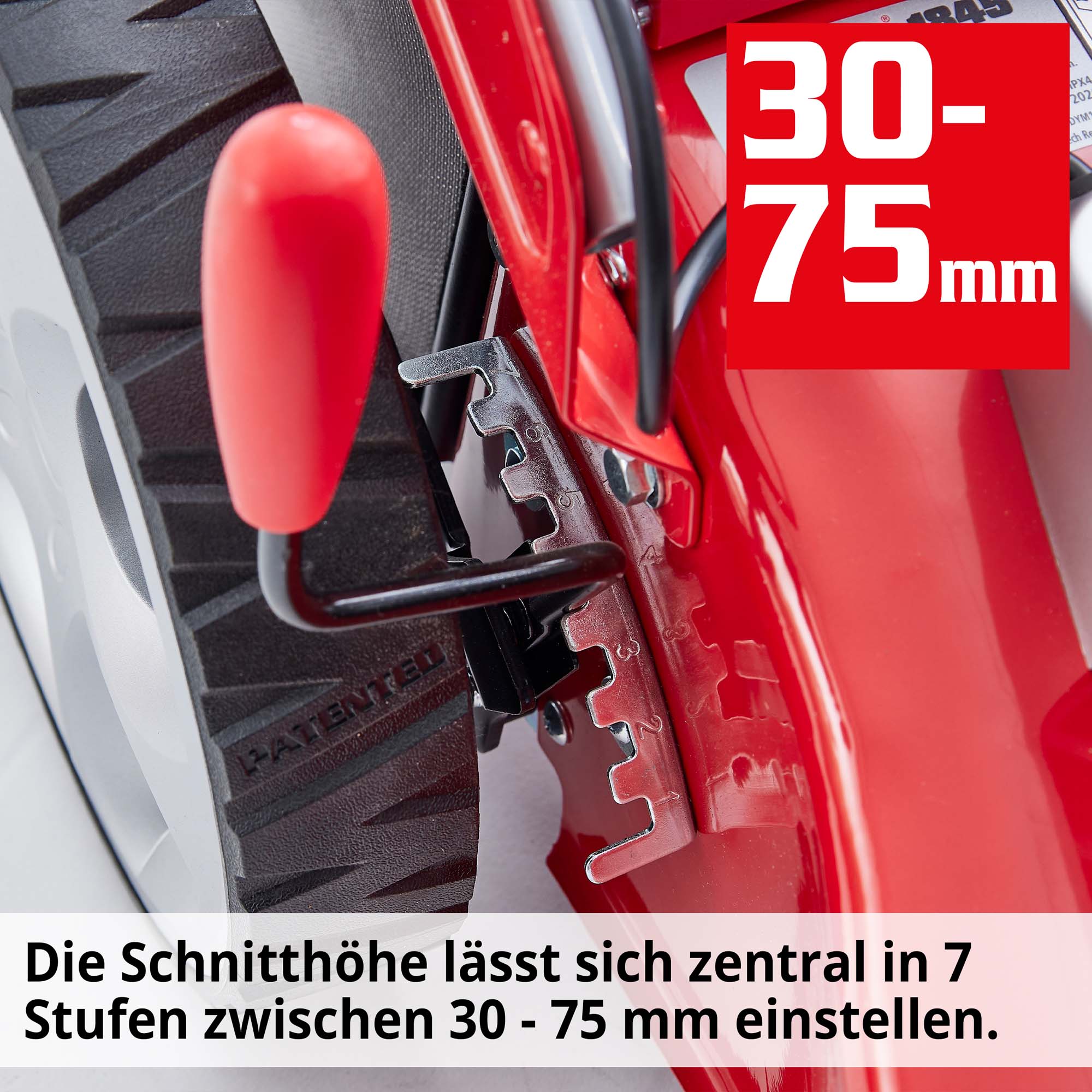 Hecht Elektro-Rasenmäher mit 7-fach Schnitthöhenverstellung 30-75 mm 