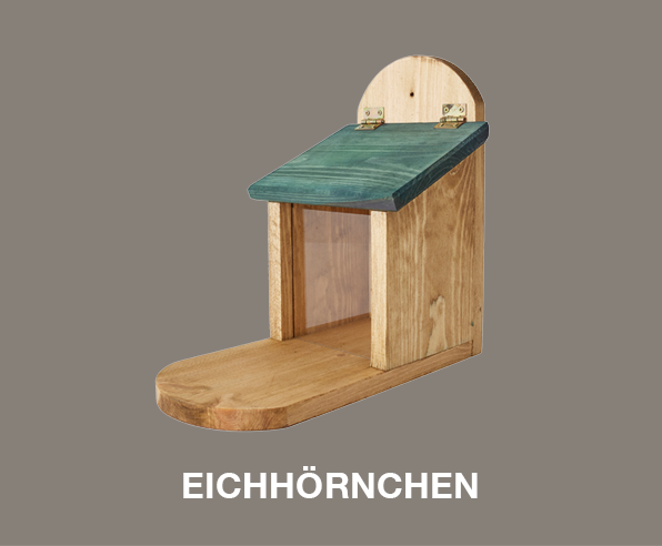 Eichhörnchen