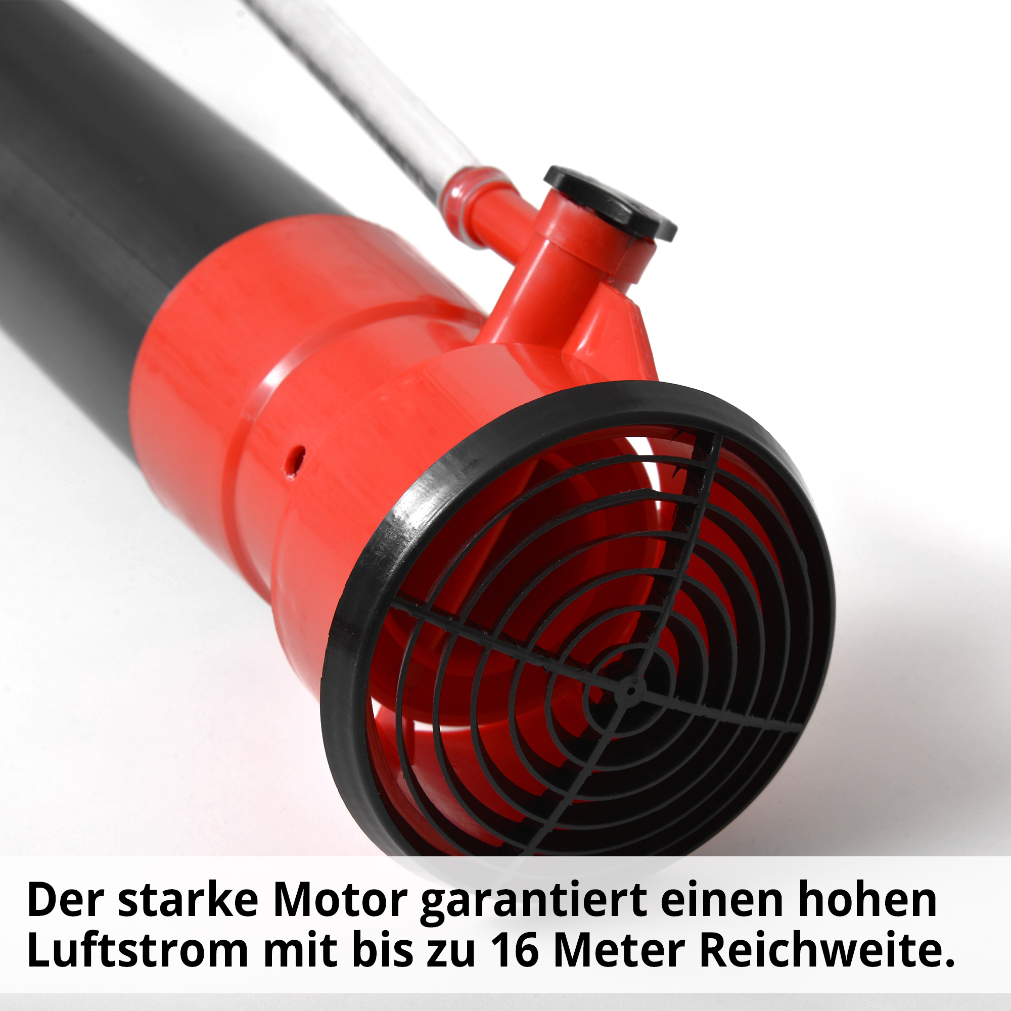 567-galeriebild_3