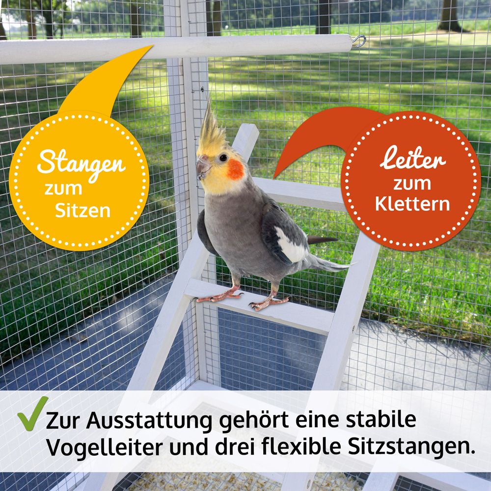 Vogelvoliere Apollo M; Stange und Leiter