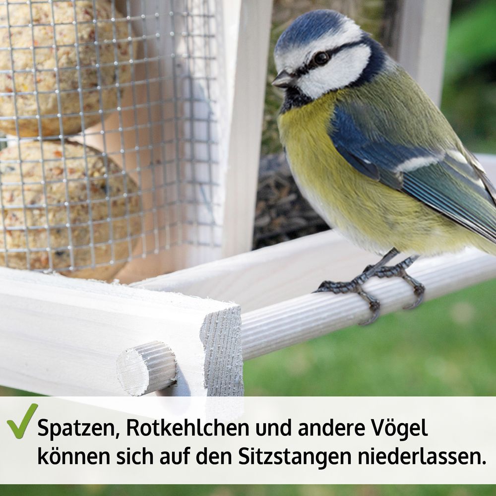 Vogelhaus Bird Kitchen; Sitzstange 