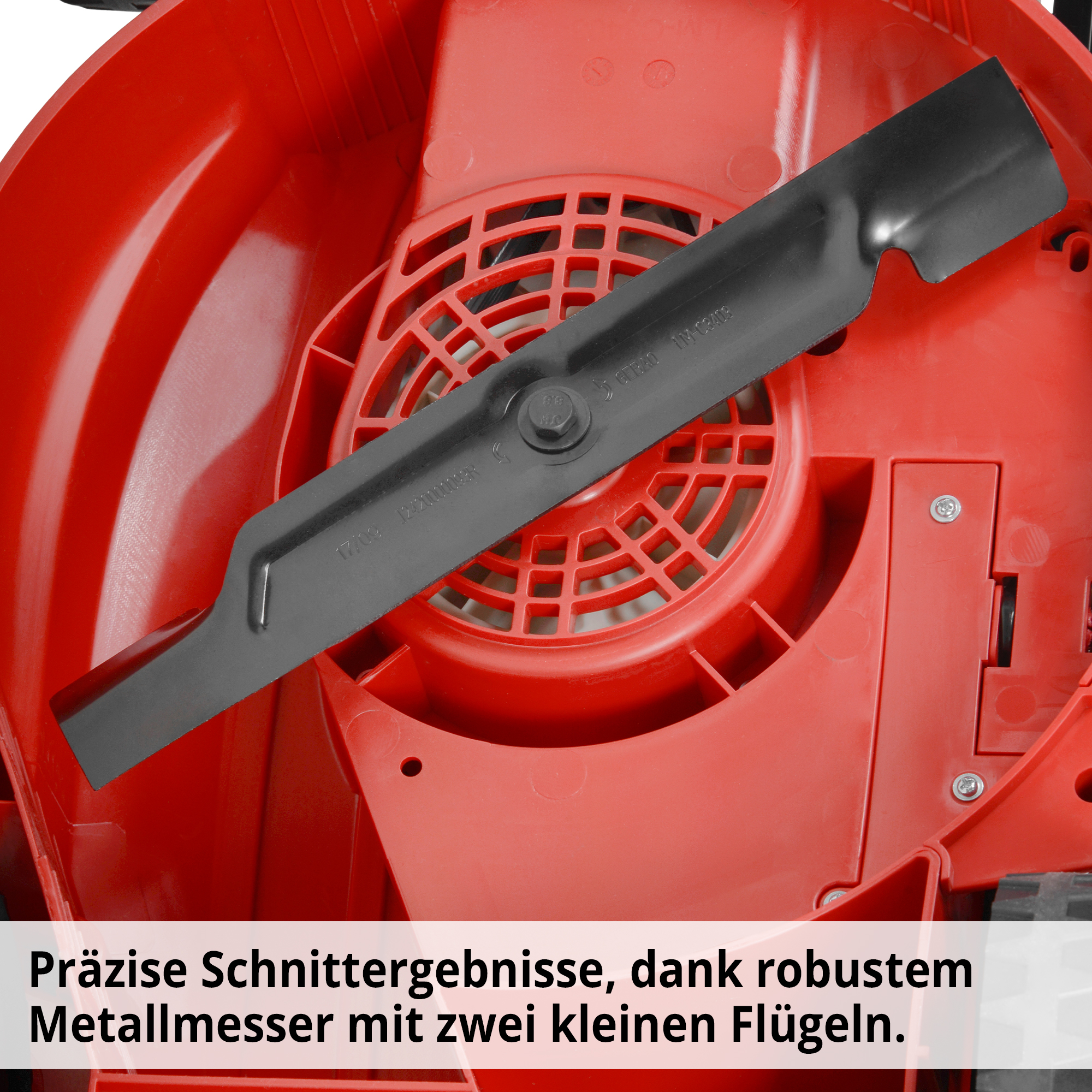 305-galeriebild_4