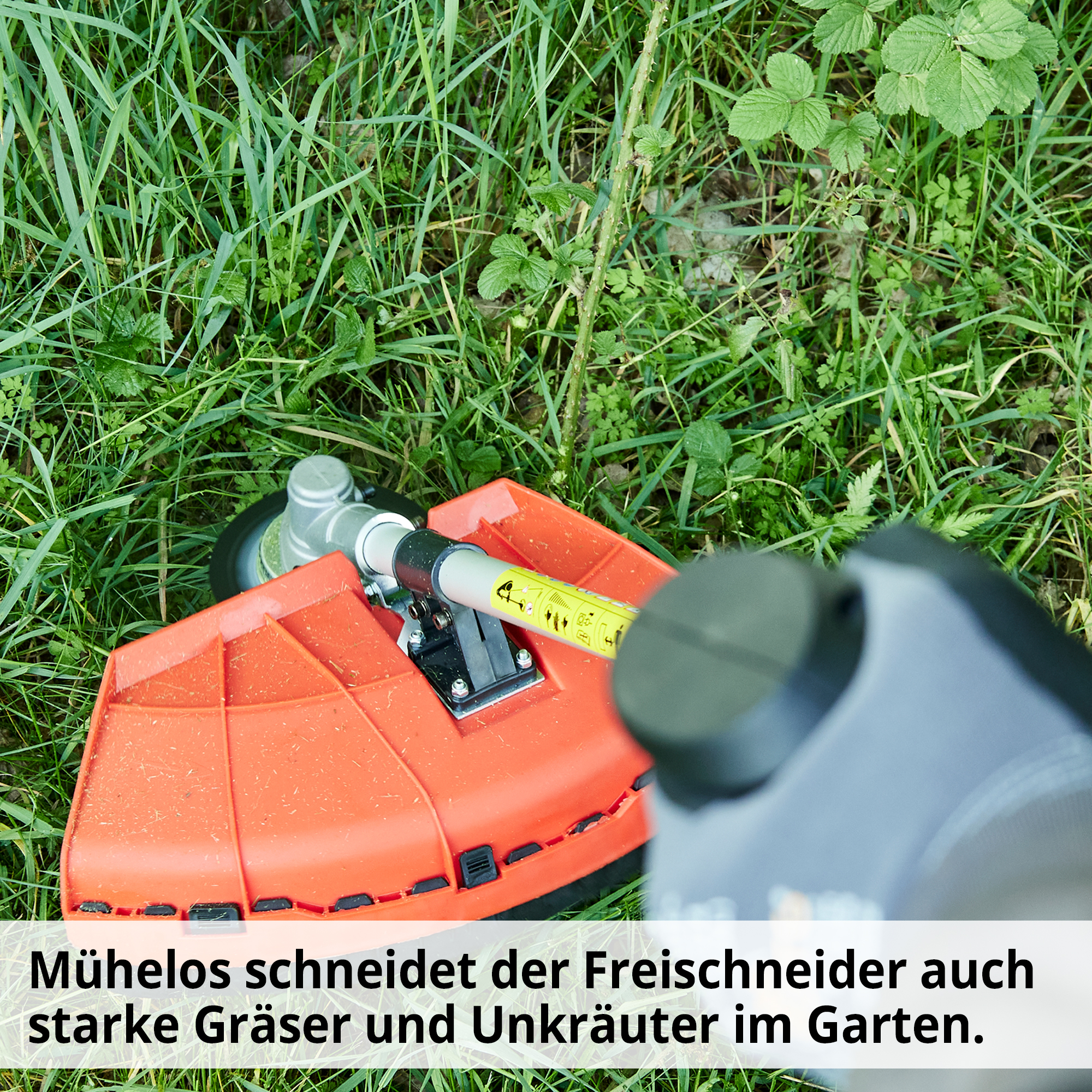 450-galeriebild_6