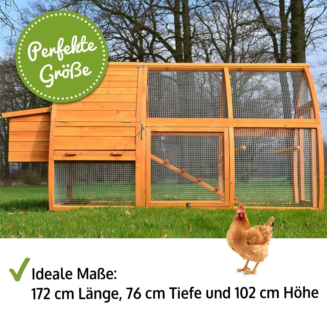 zooprinz Hühnervoliere Superhenne Maße und perfekte Größe