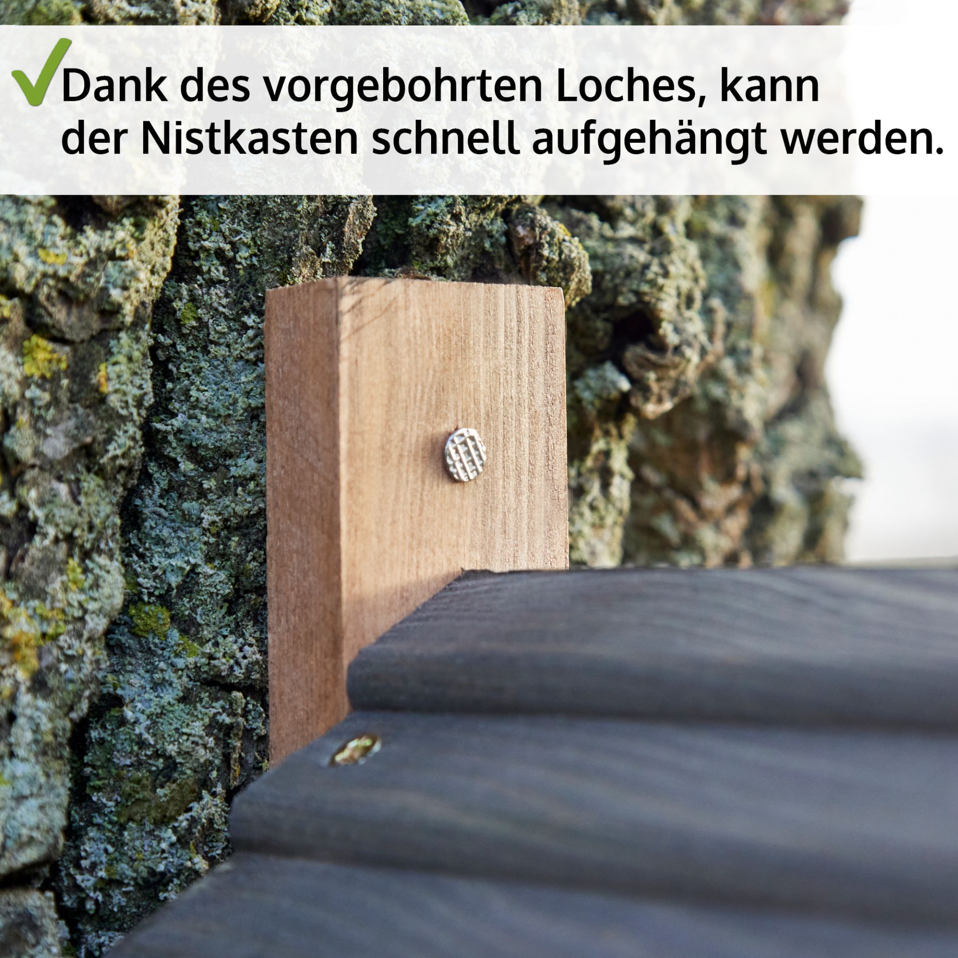 Nistkasten; Vorgebohrtes Loch zum Aufhängen
