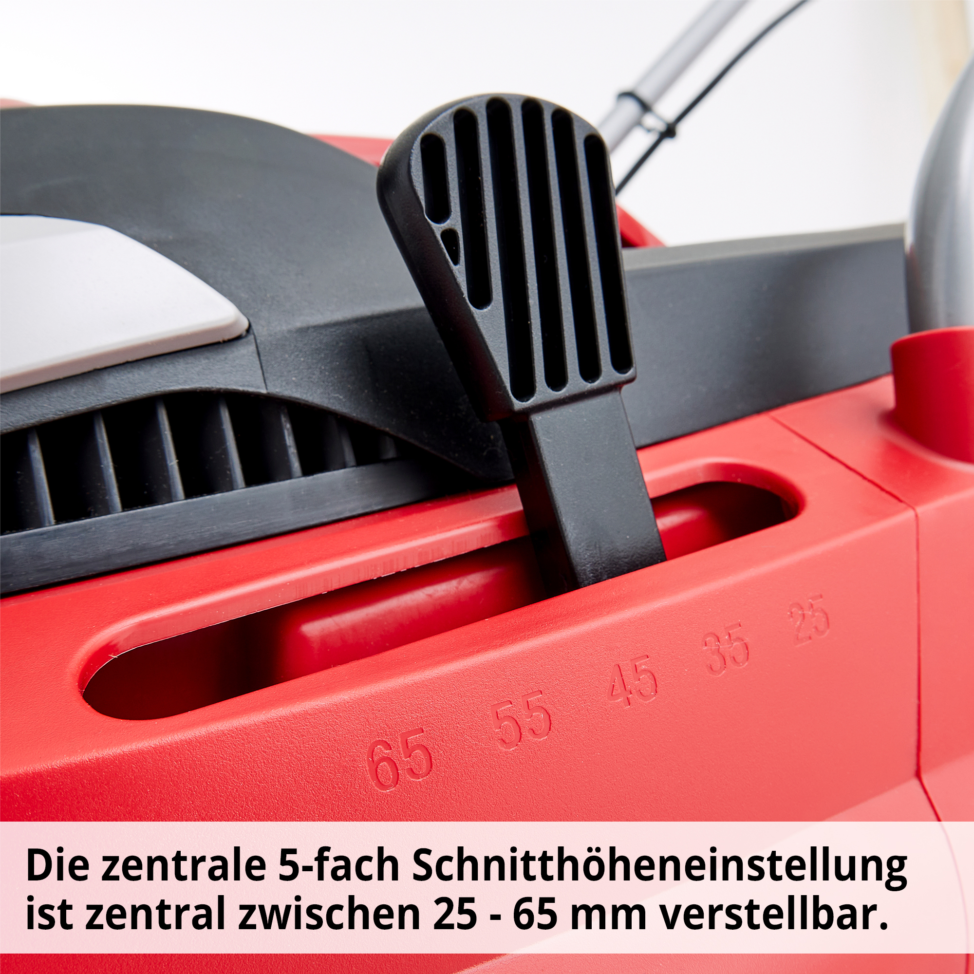 305-galeriebild_3