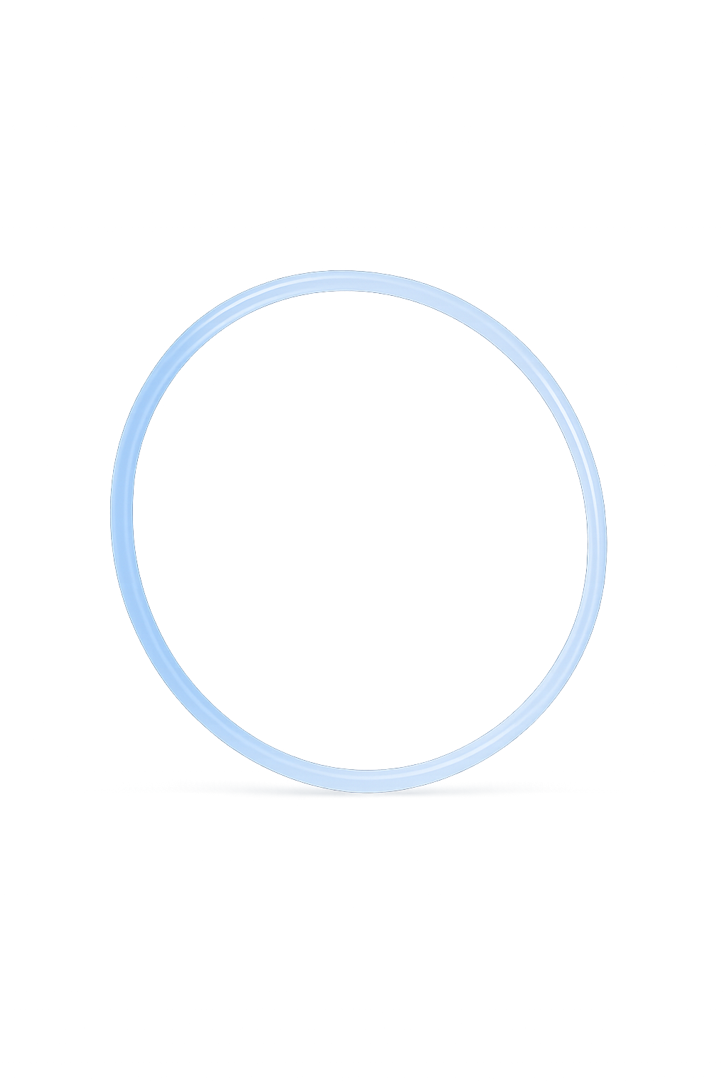 Dichtungsring O-Ring