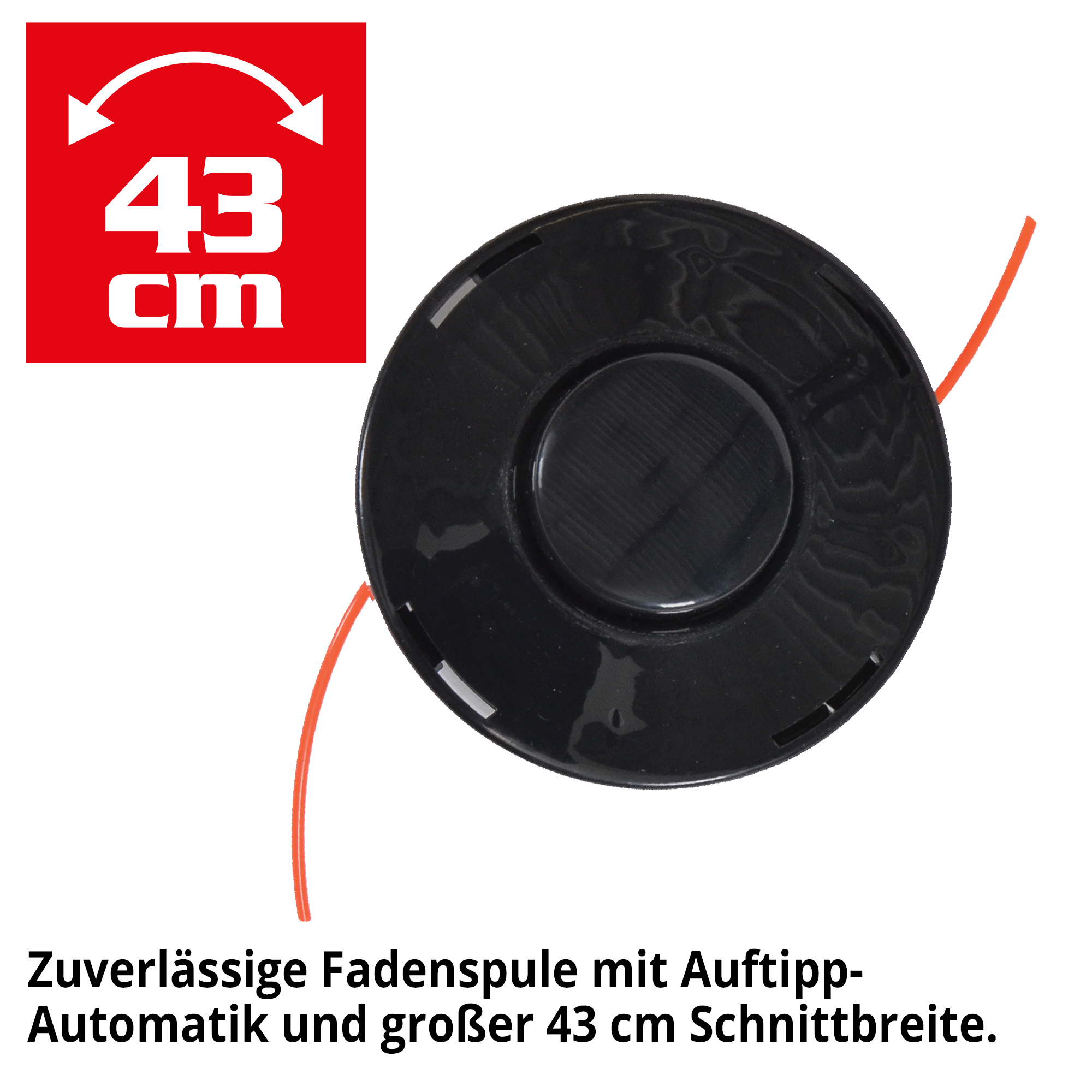 1911-galeriebild_3